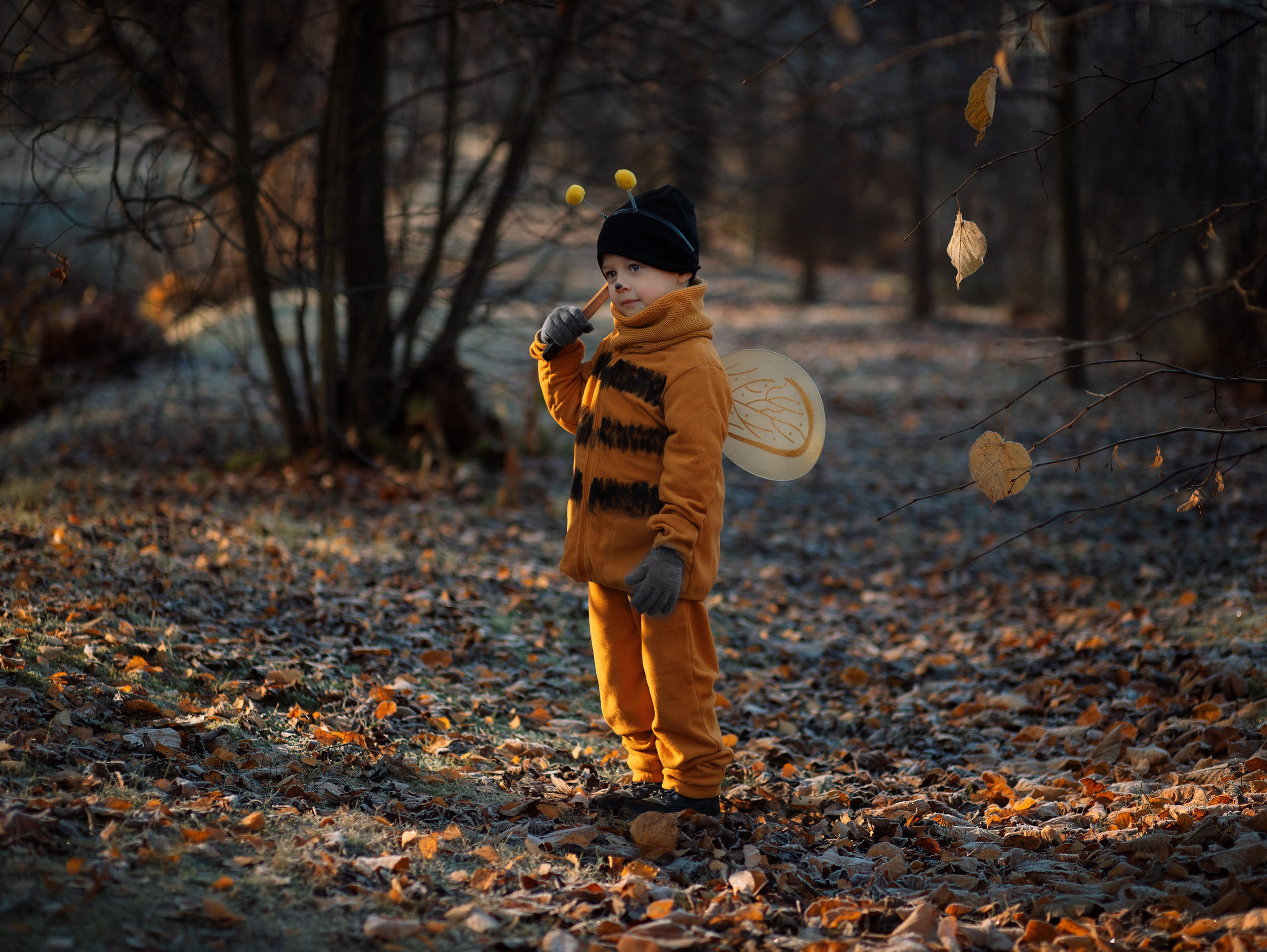 Осенняя пчелка. Семейный фотограф в Санкт-Петербурге Ирина Иванова