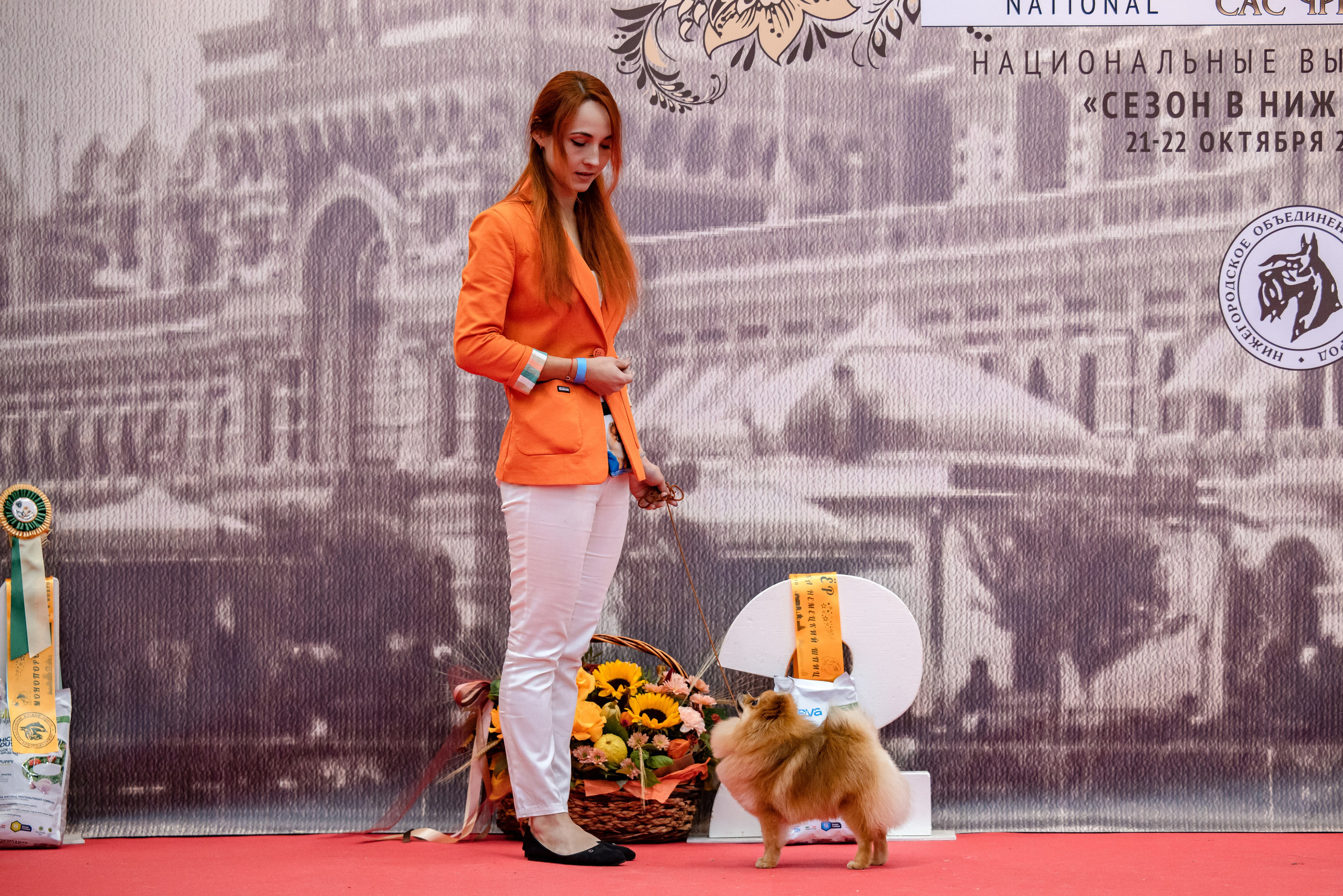 Нижний Новгород 21-22.10.2023. Фотограф-анималист Юлия Германика