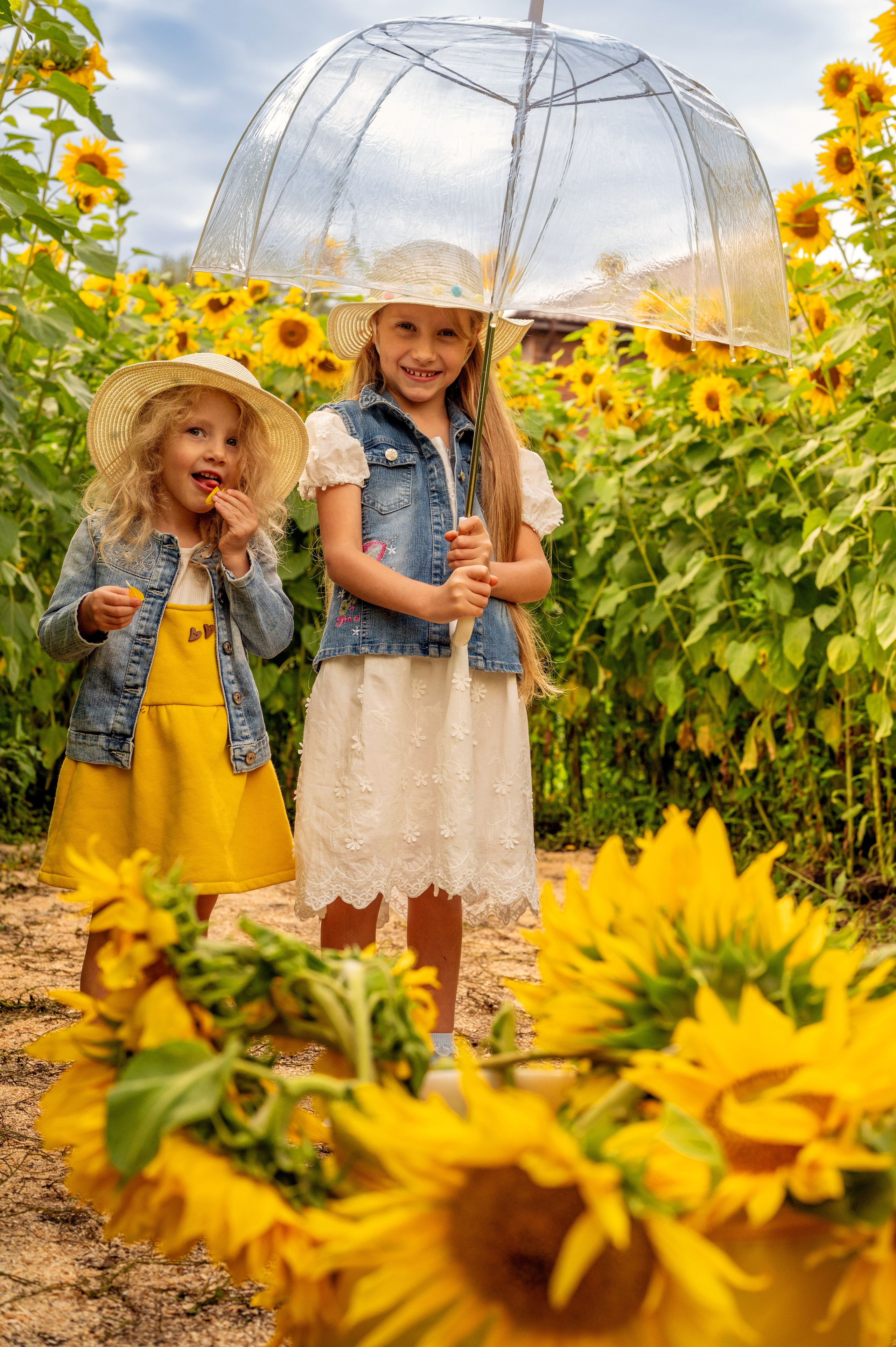 Подсолнухи. Фотограф новорожденных, семейный детский в Тюмени Татьяна Морозова