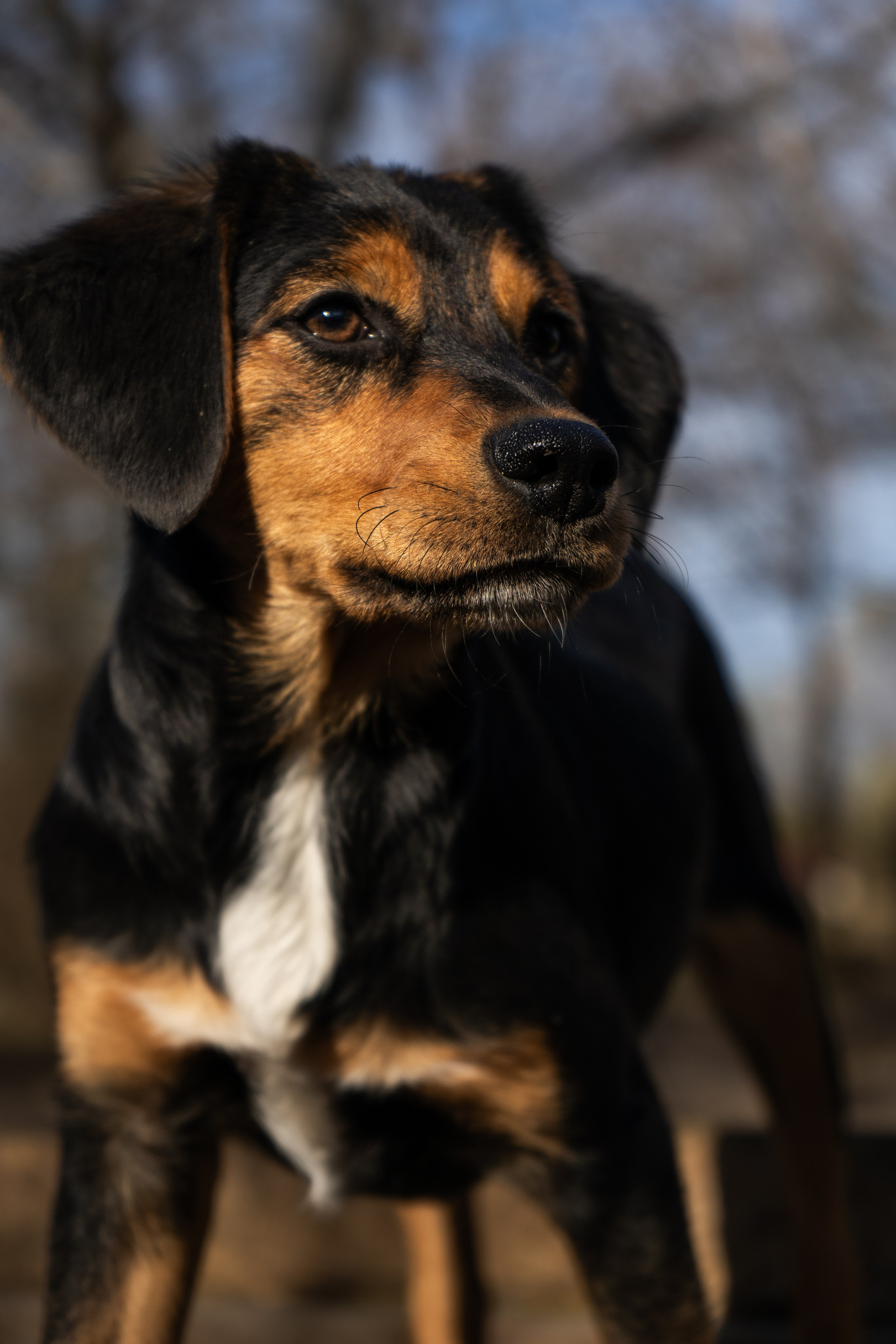Хвостики. Oljoy.ph — photographer in Minsk