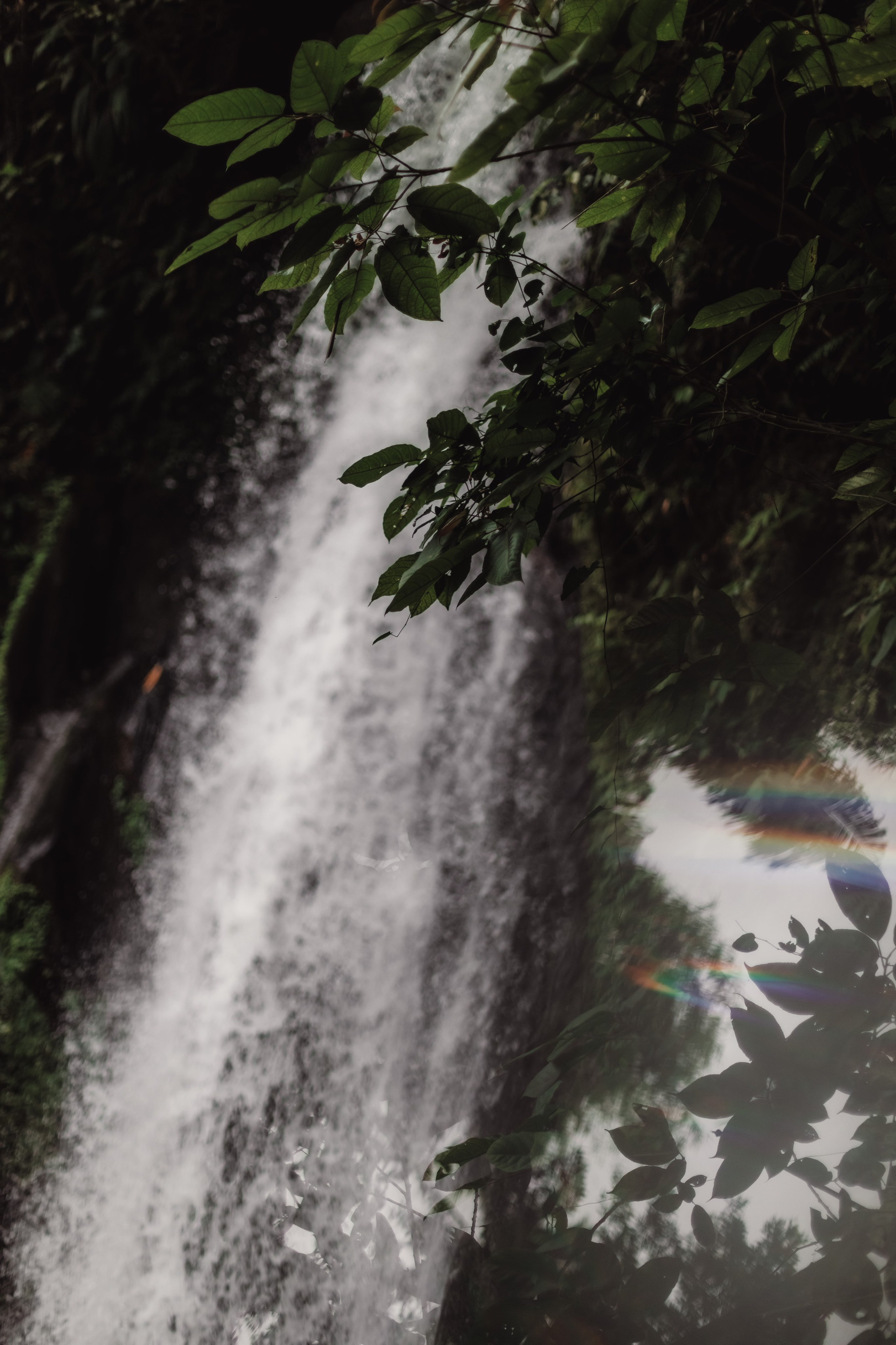 Connection. Мариам Багдасарян