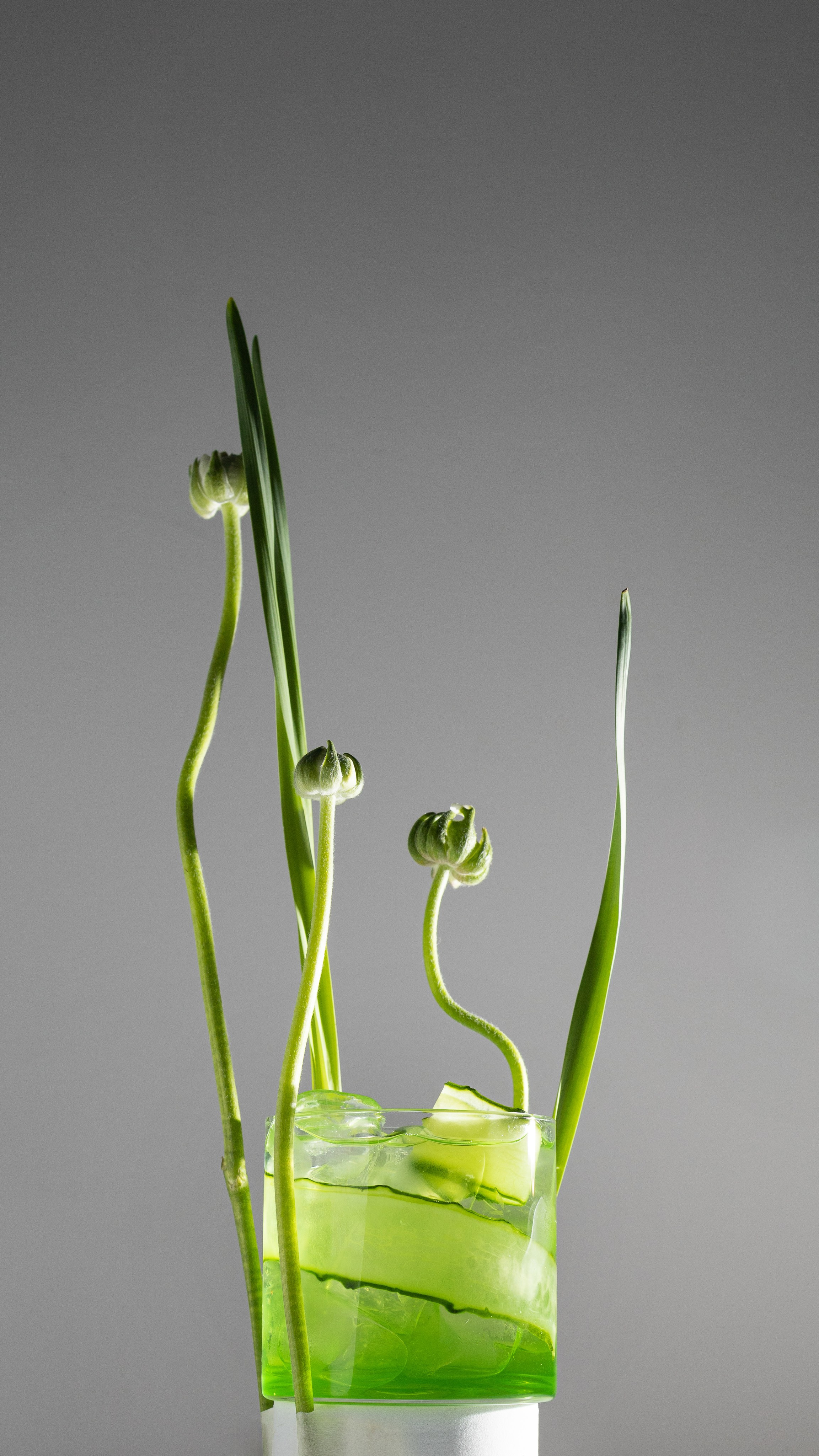 Кафе. Фуд-фотограф Загардинова Анастасия