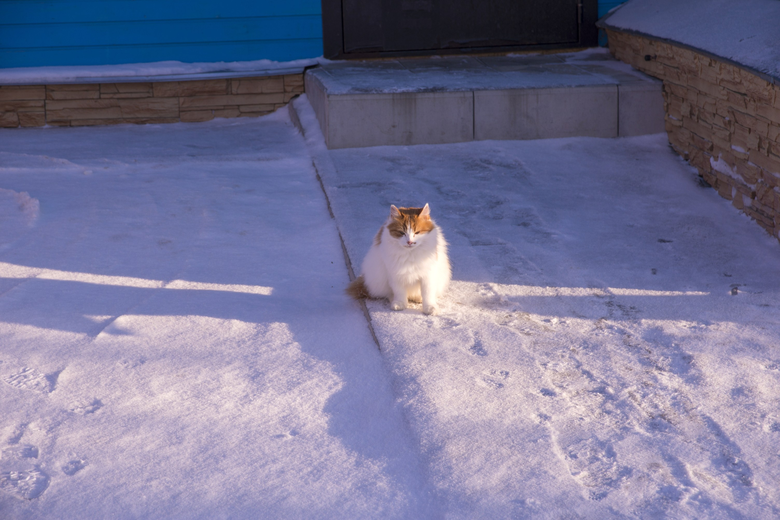 Суздаль. Январь 2022. Игорь Жучков. Россия увиденная глазами путешествующего фотографа