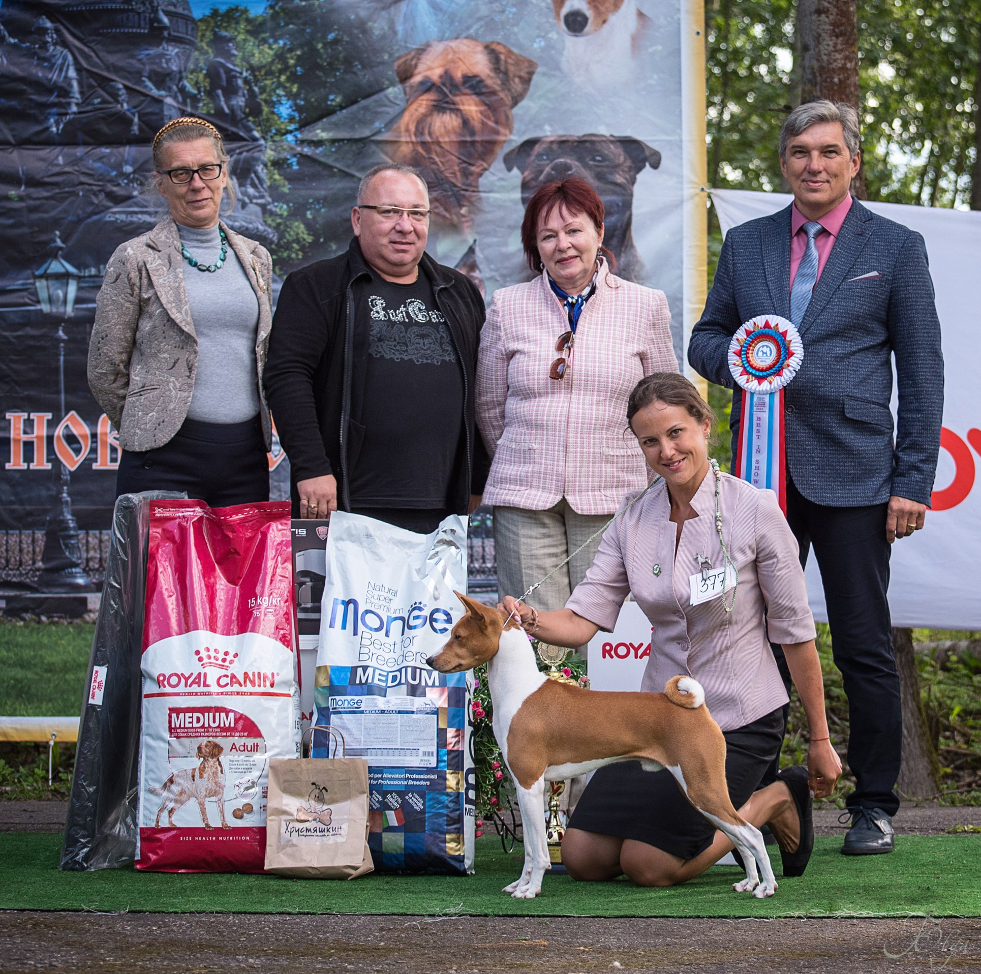 Репортажная съемка. Выставки, в ринге и за рингом. Фотограф-анималист Ольга Фомичева