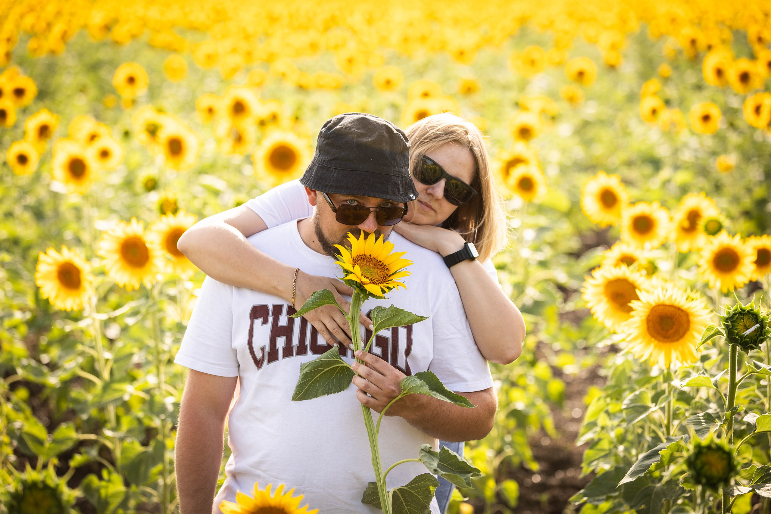 ПОДСОЛНУХИ. Фотограф-АниМалист Анна Абрамова