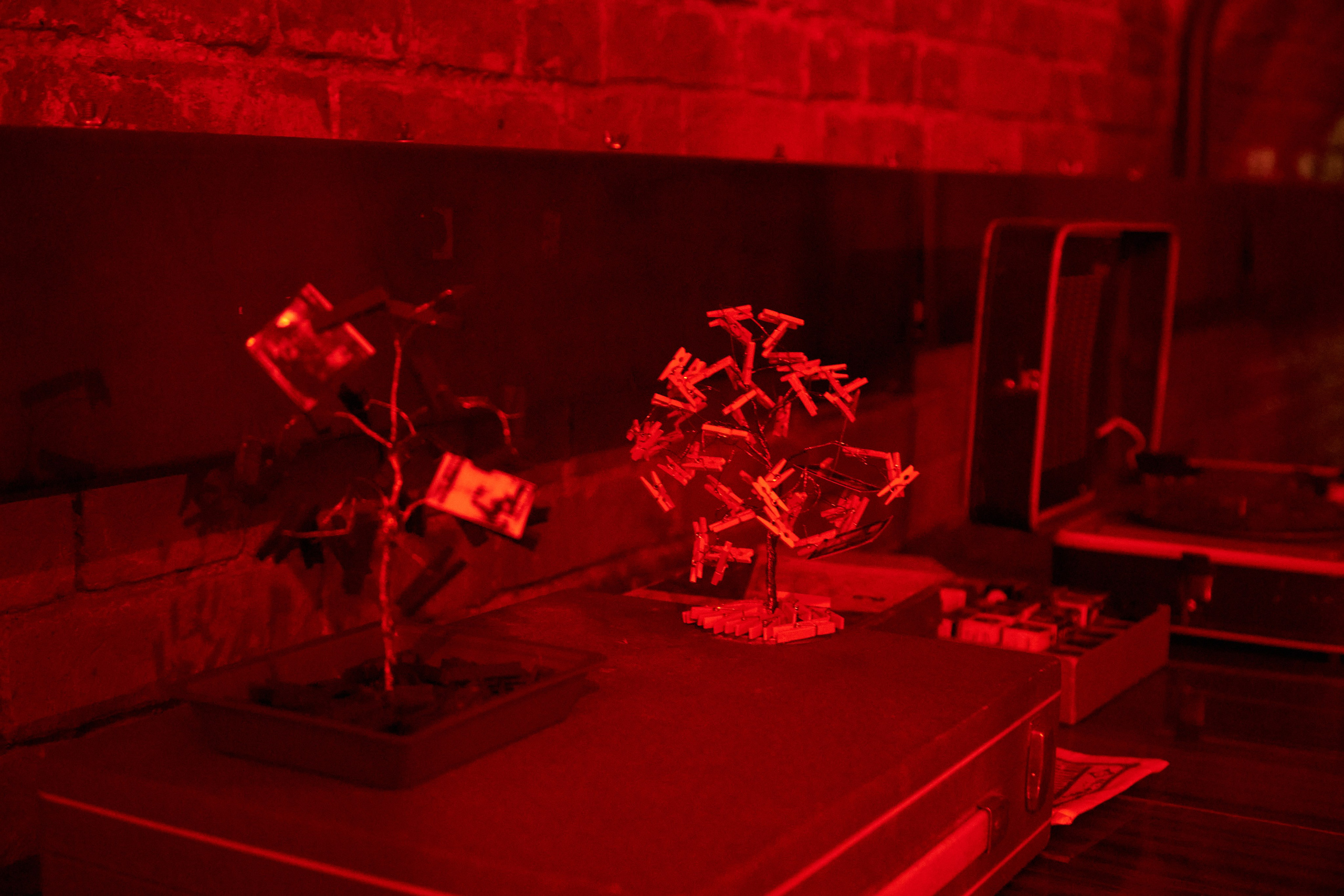 Выставка Cubo Libre. Фотограф Савченко Люба. Москва