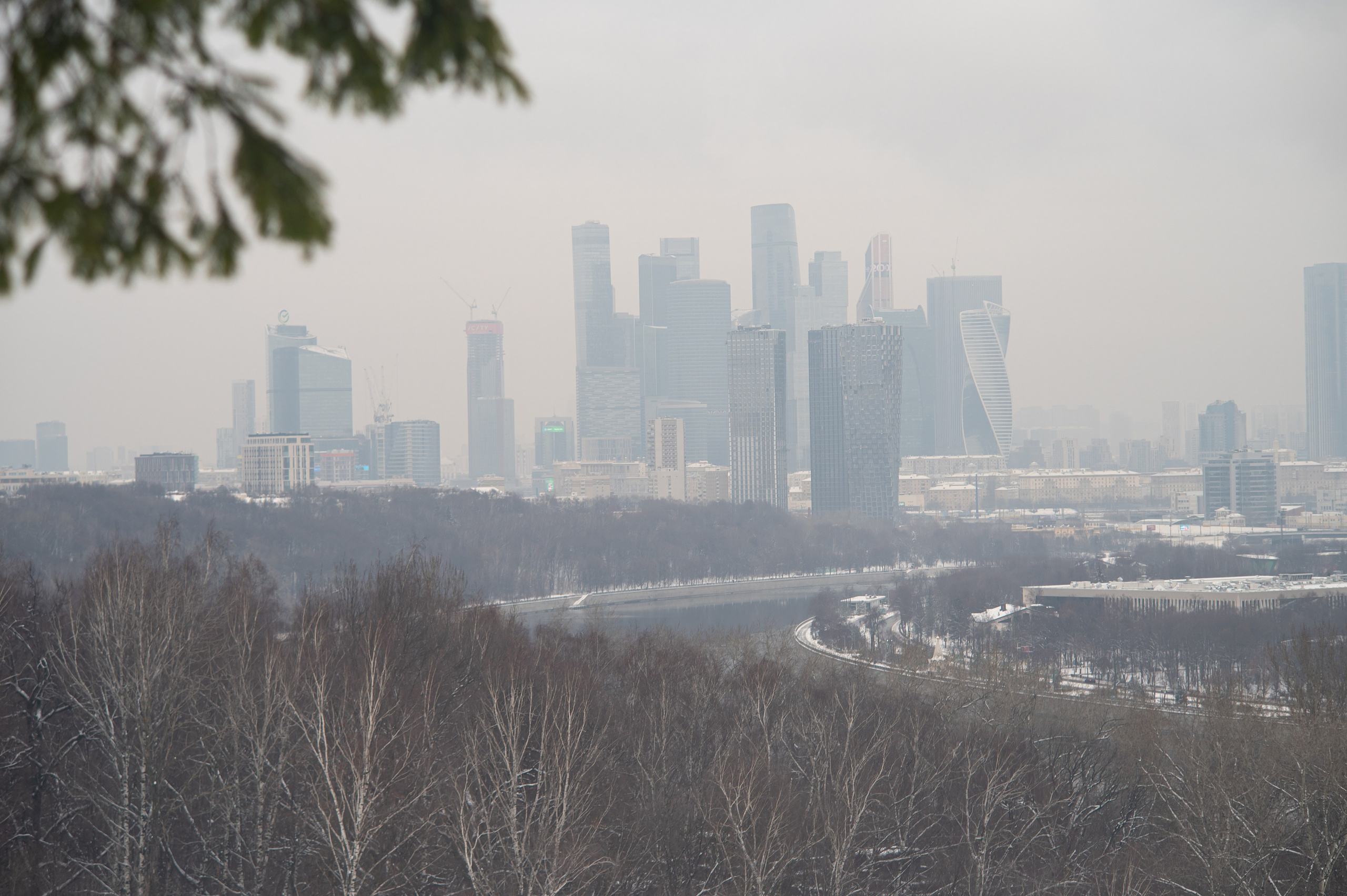 20231126 Смотровая. Дмитрий Ремизов. Фотография, как хобби