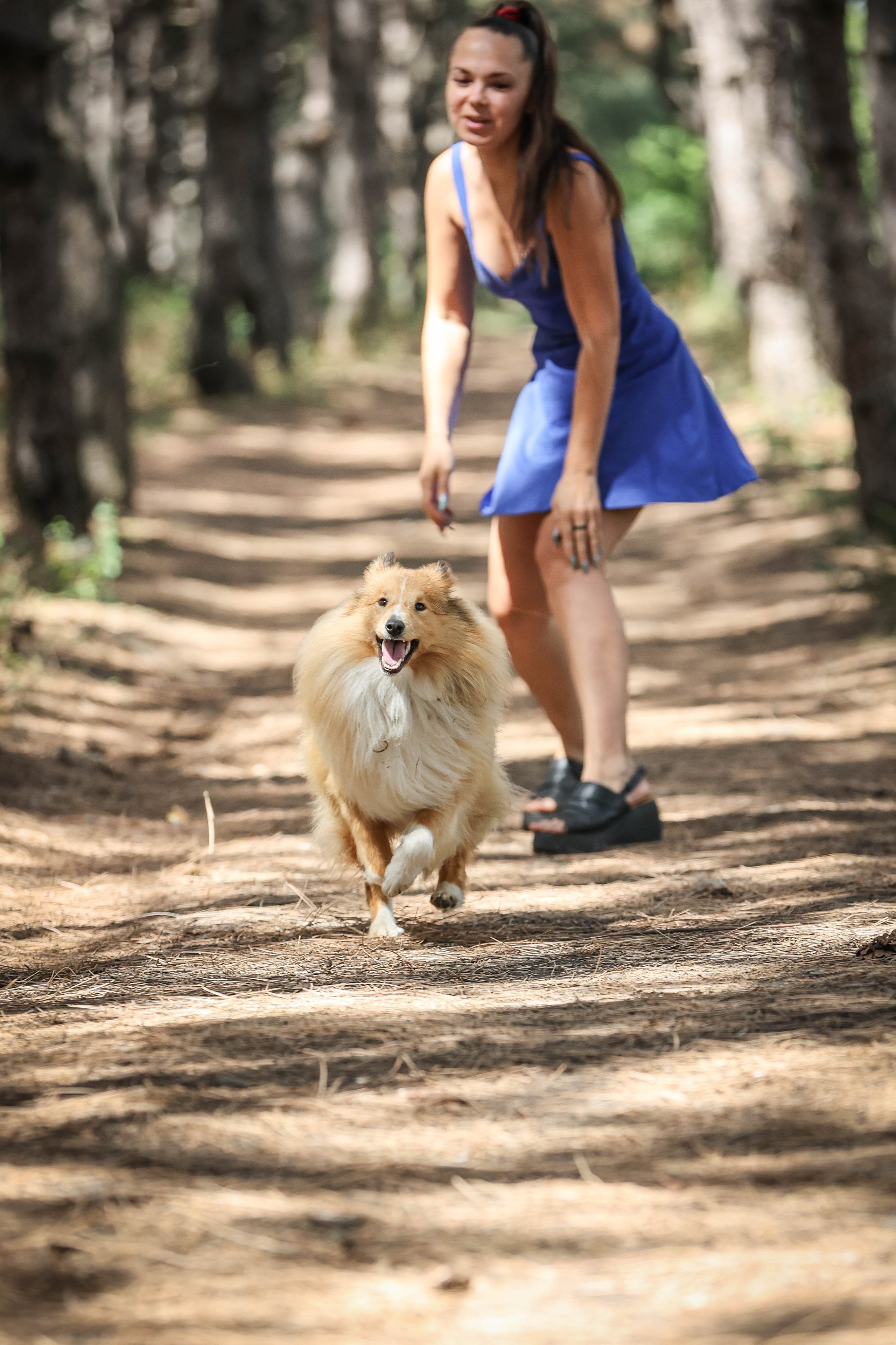 САРОЧКА В ЛЕСУ. Фотограф-АниМалист Анна Абрамова
