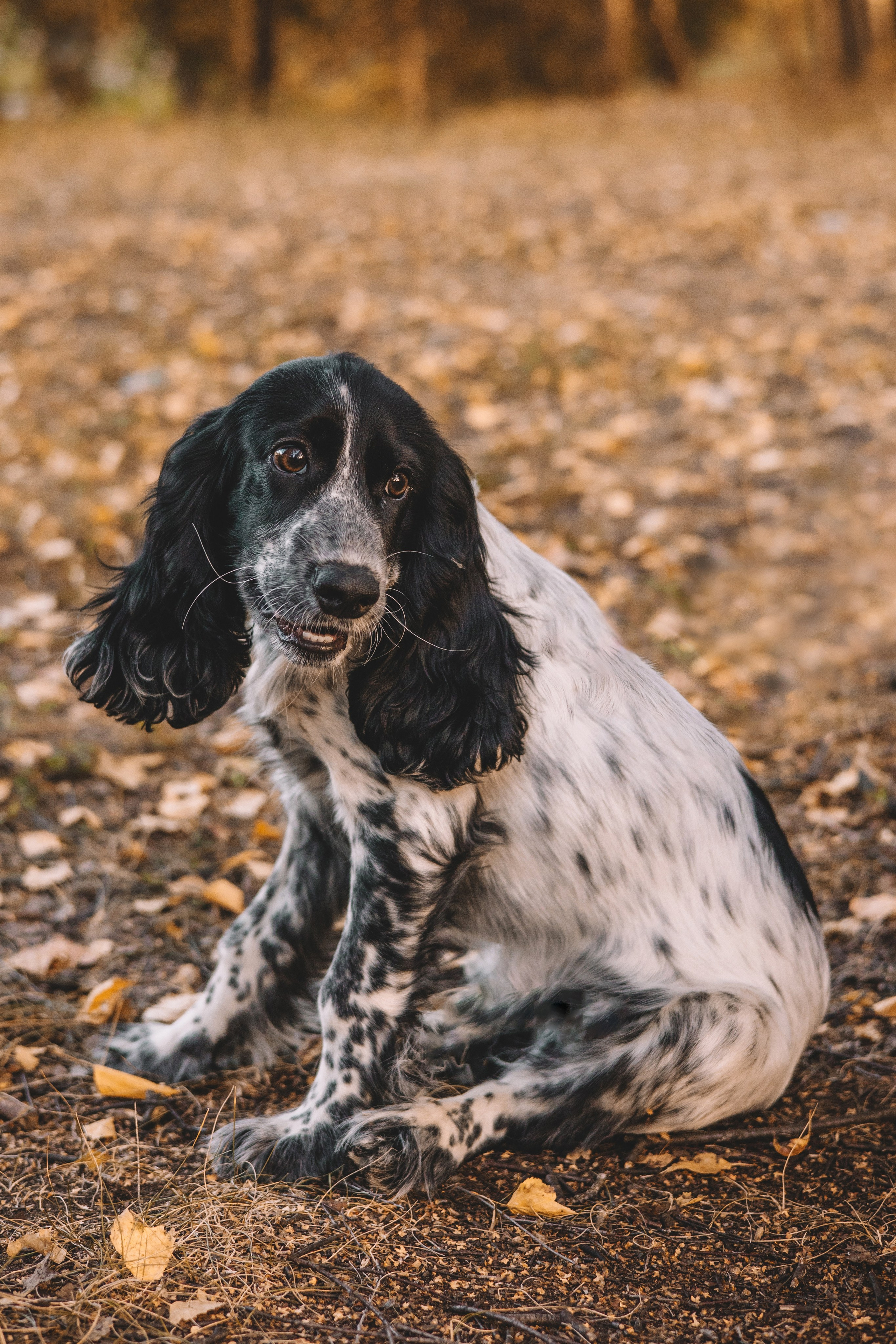 Рони, Вова и Светлана