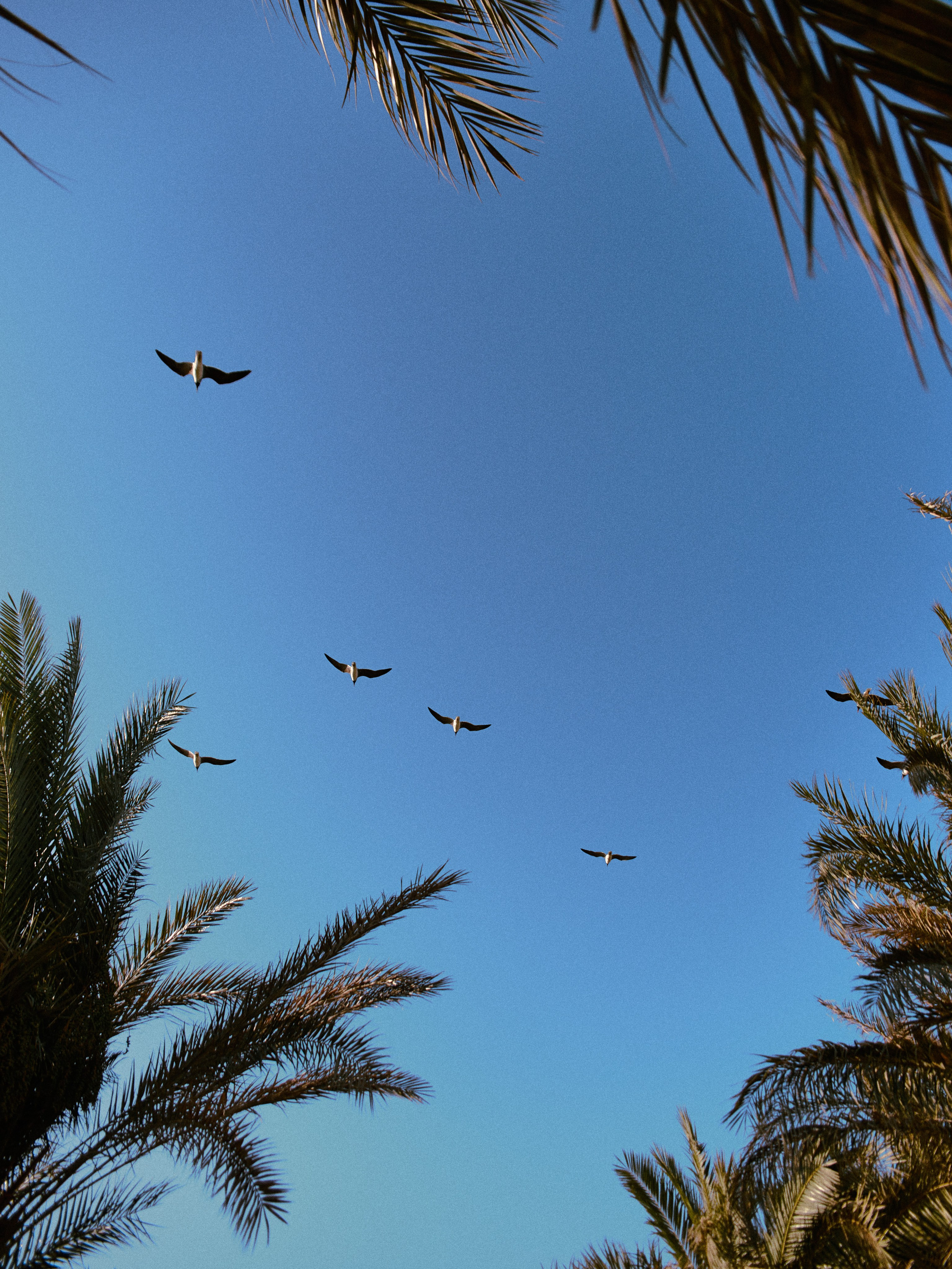 Диптих. Jorgis — фотограф в Хургаде / обучение фотографии