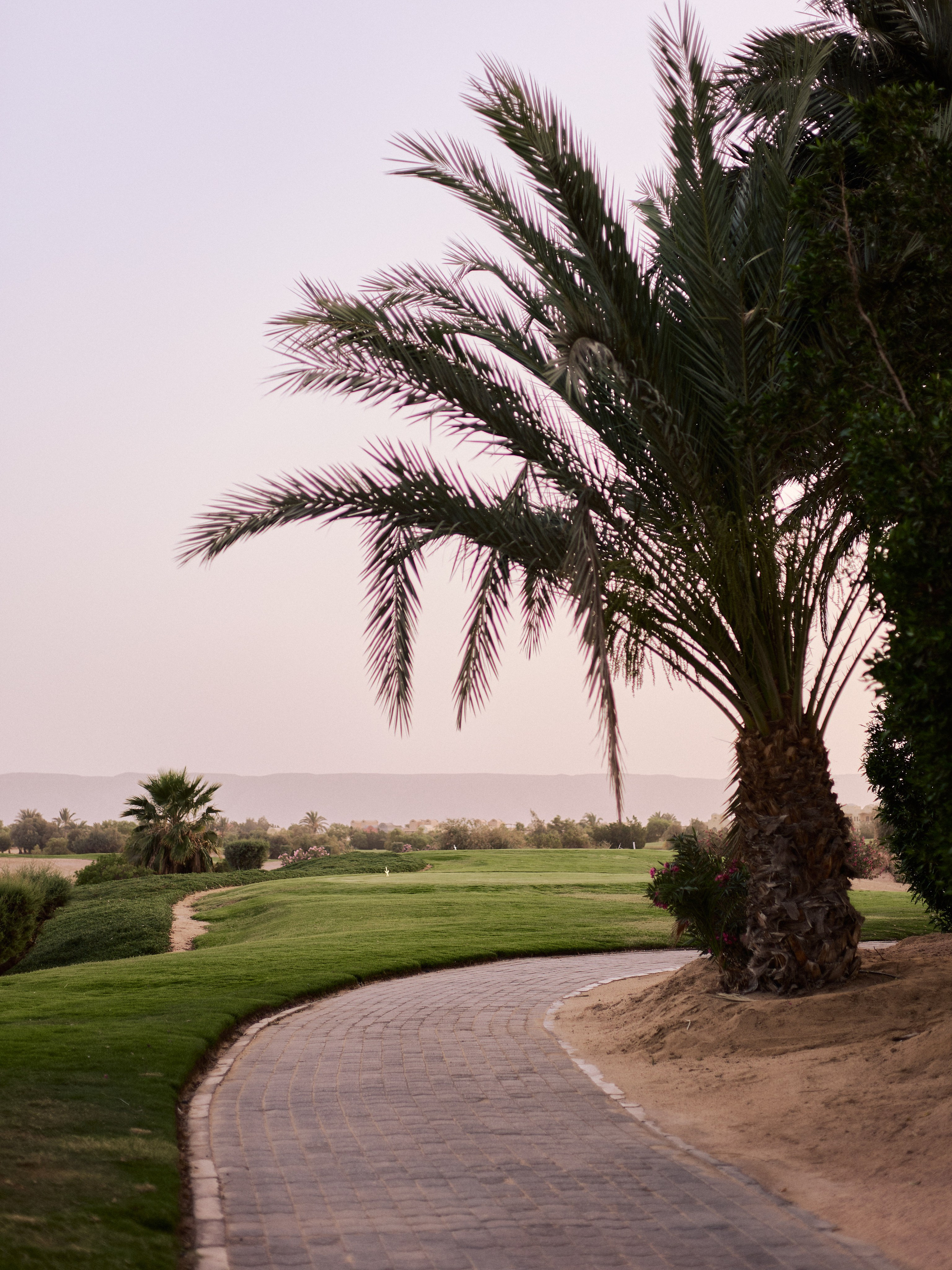 Другое 2. Jorgis Talè — photographer, kind person, teacher of arts and other mag