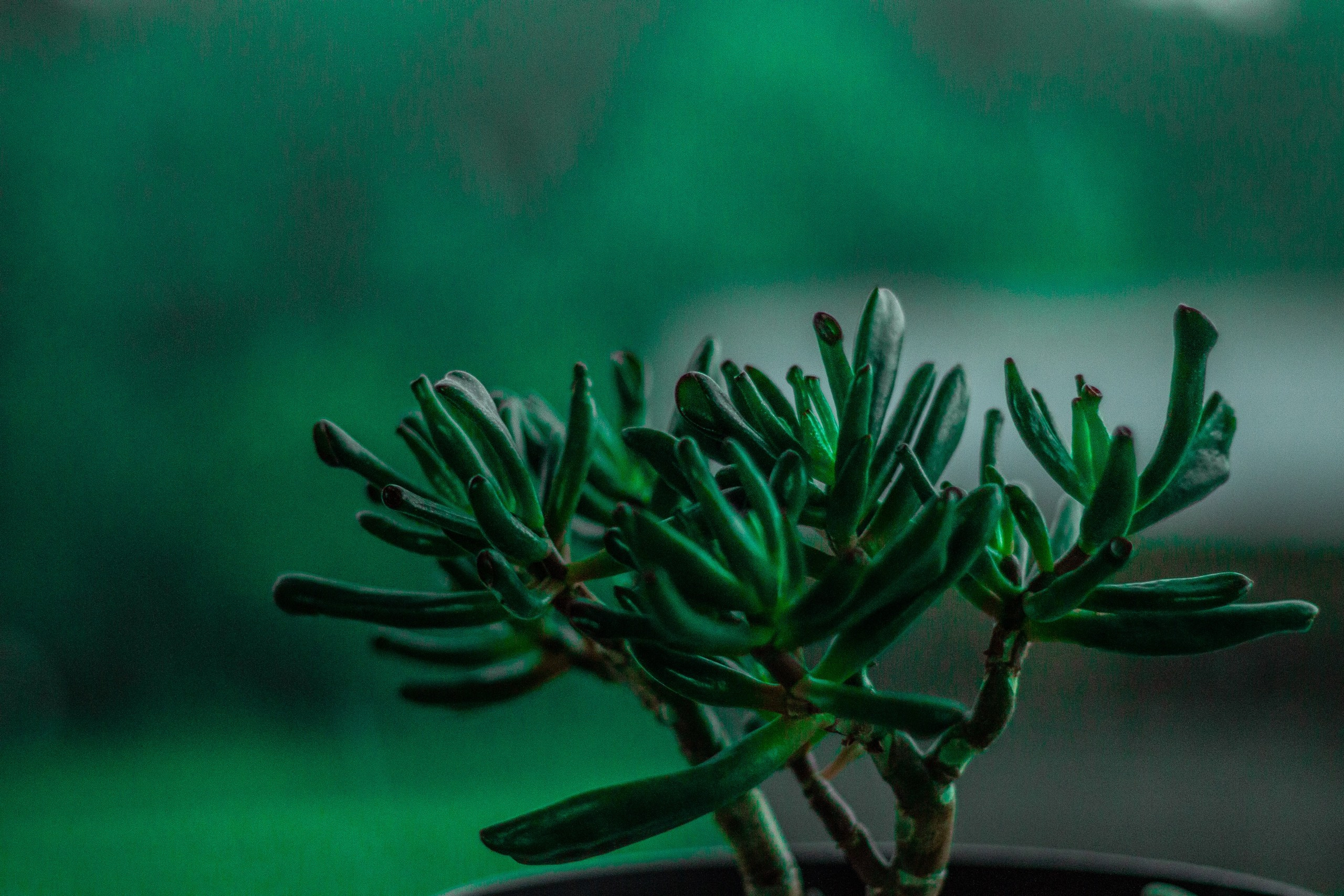 Другое. Jorgis Talè — photographer, kind person, teacher of arts and other mag