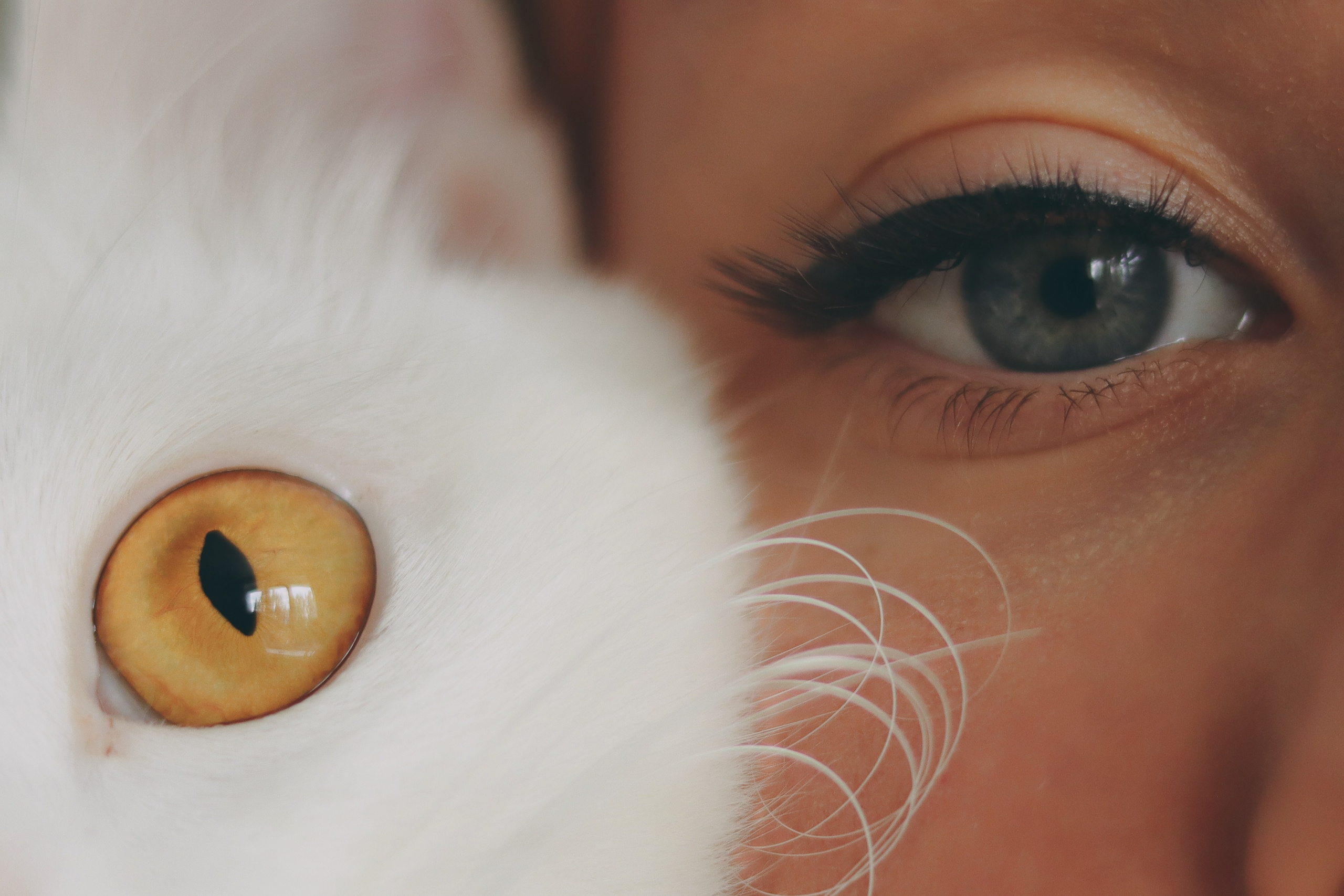 Фотосъёмка Ани и Оливки дома. Фотограф Самара Лена Мандарин