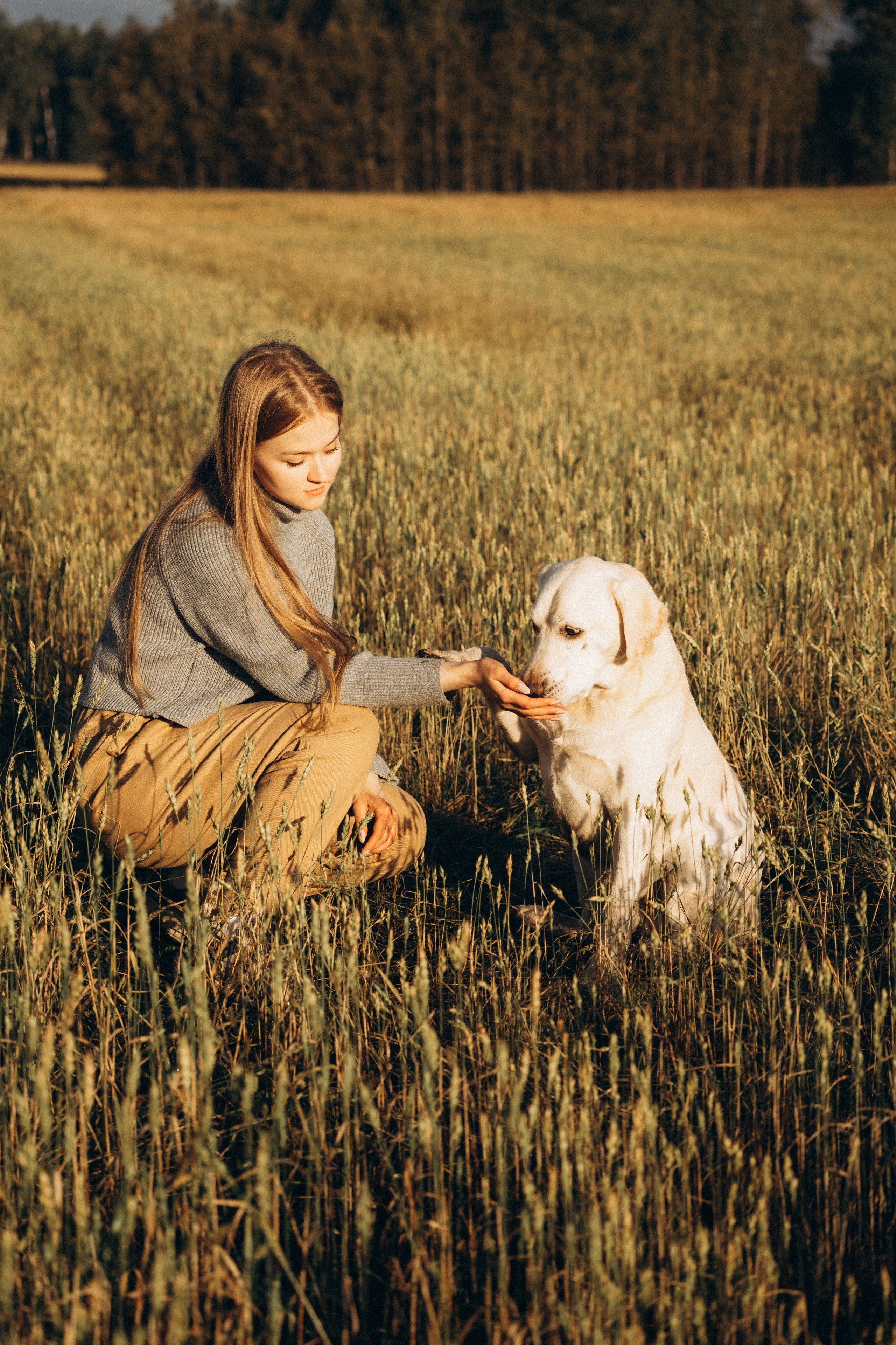 Дана и Арчи. Фотограф-анималист Анастасия Большакова
