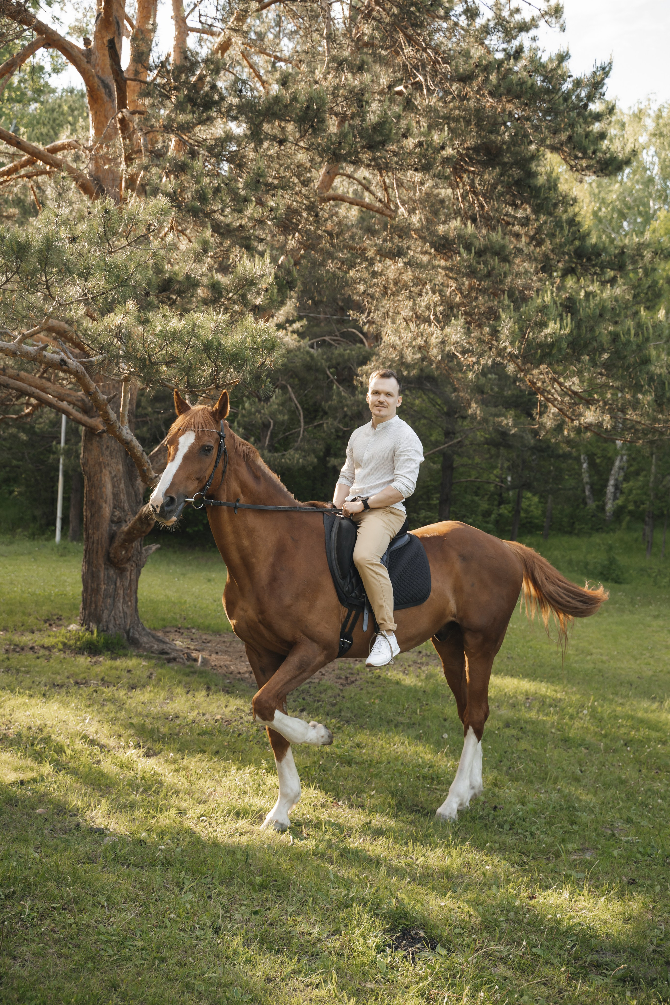 Семейная история с лошадьми. Главная
