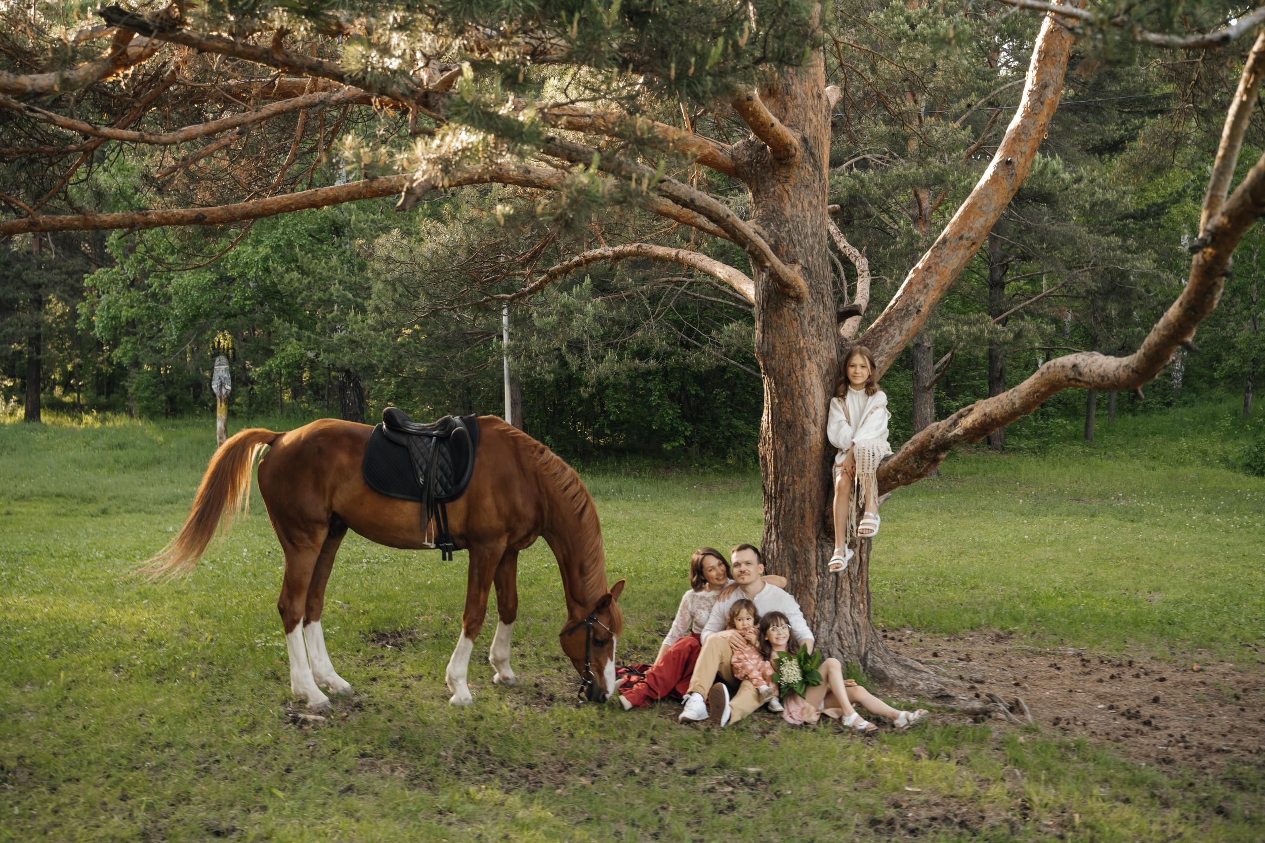 Семейная история с лошадьми. Главная