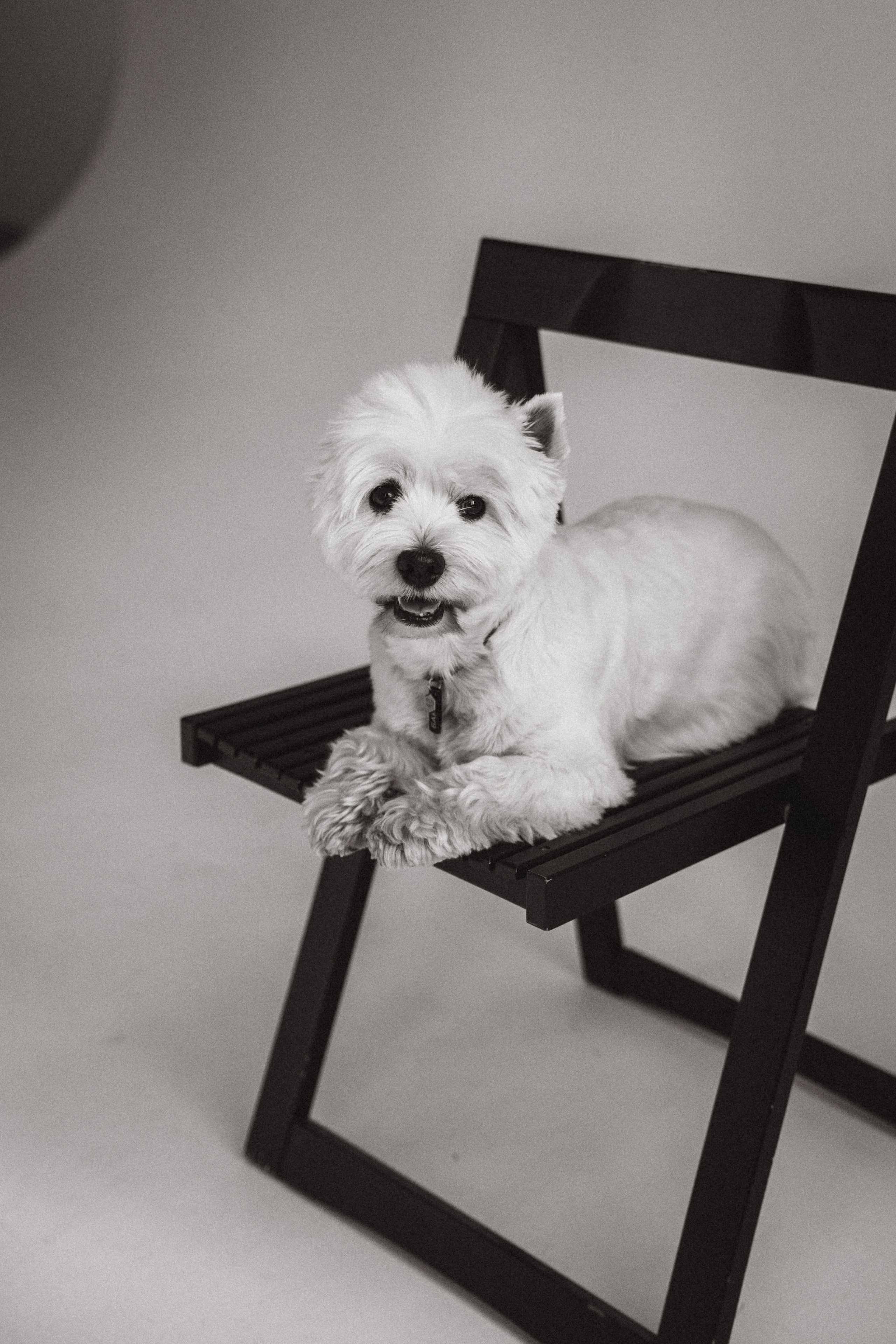 Вера и Бакс