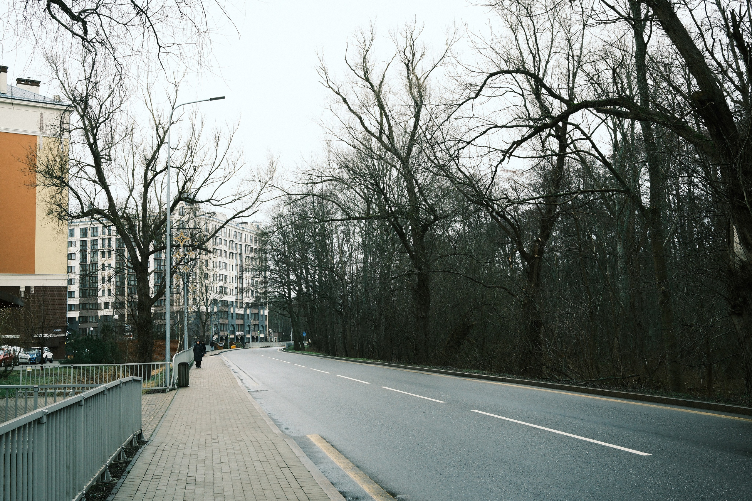 Зеленоградск. Калининградская область. Алексей Торопов фотограф