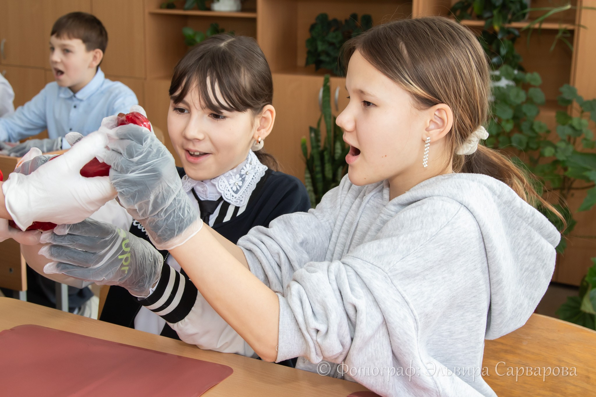 Мастер-класс по леденцам. Репортажный Фотограф