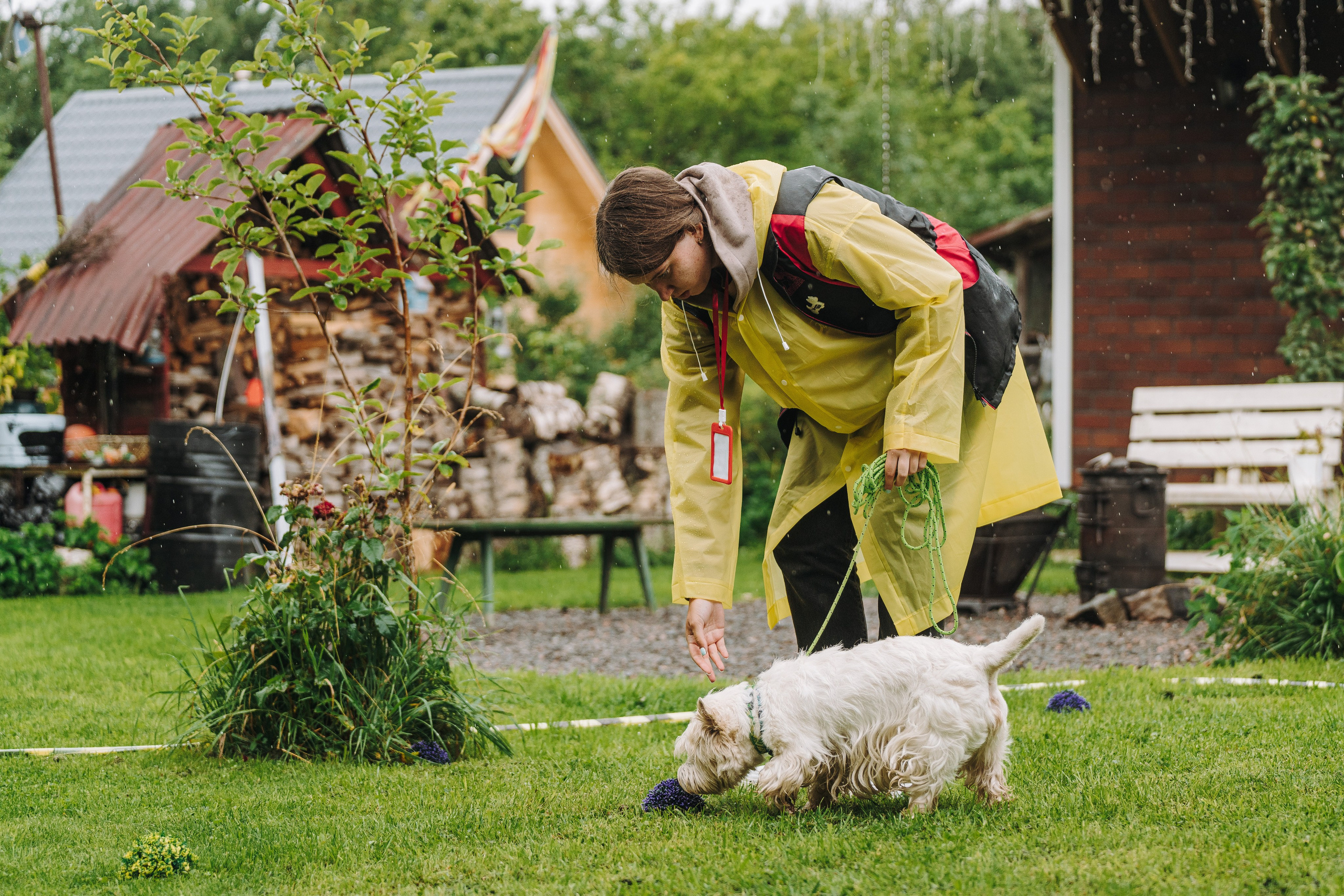 Соревнования по ноузворку в Новожилово. Фотограф анималист в Спб недорого Олеся Майорова