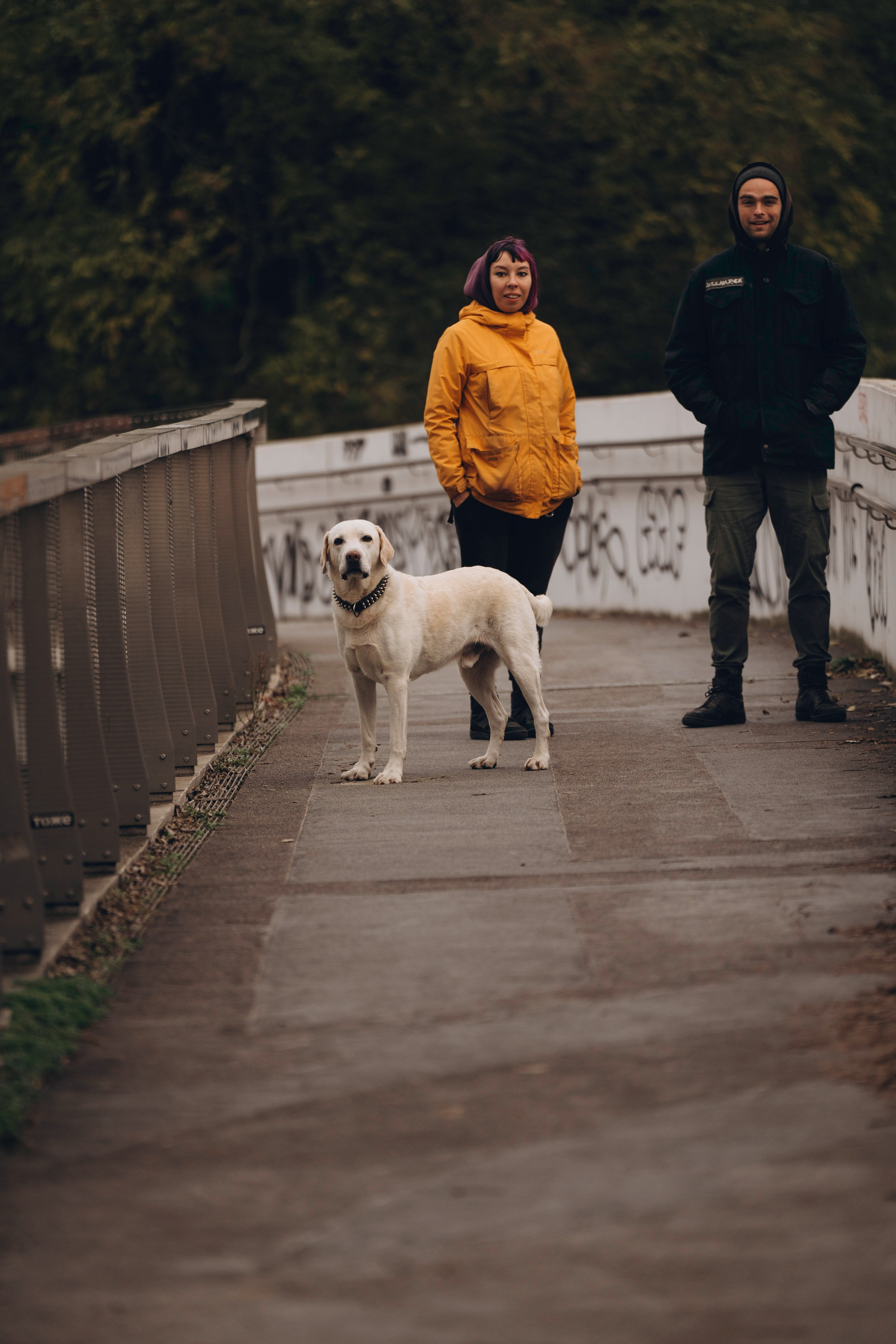 Вати, Лена и Леван. Фотограф анималист в Спб недорого Олеся Майорова