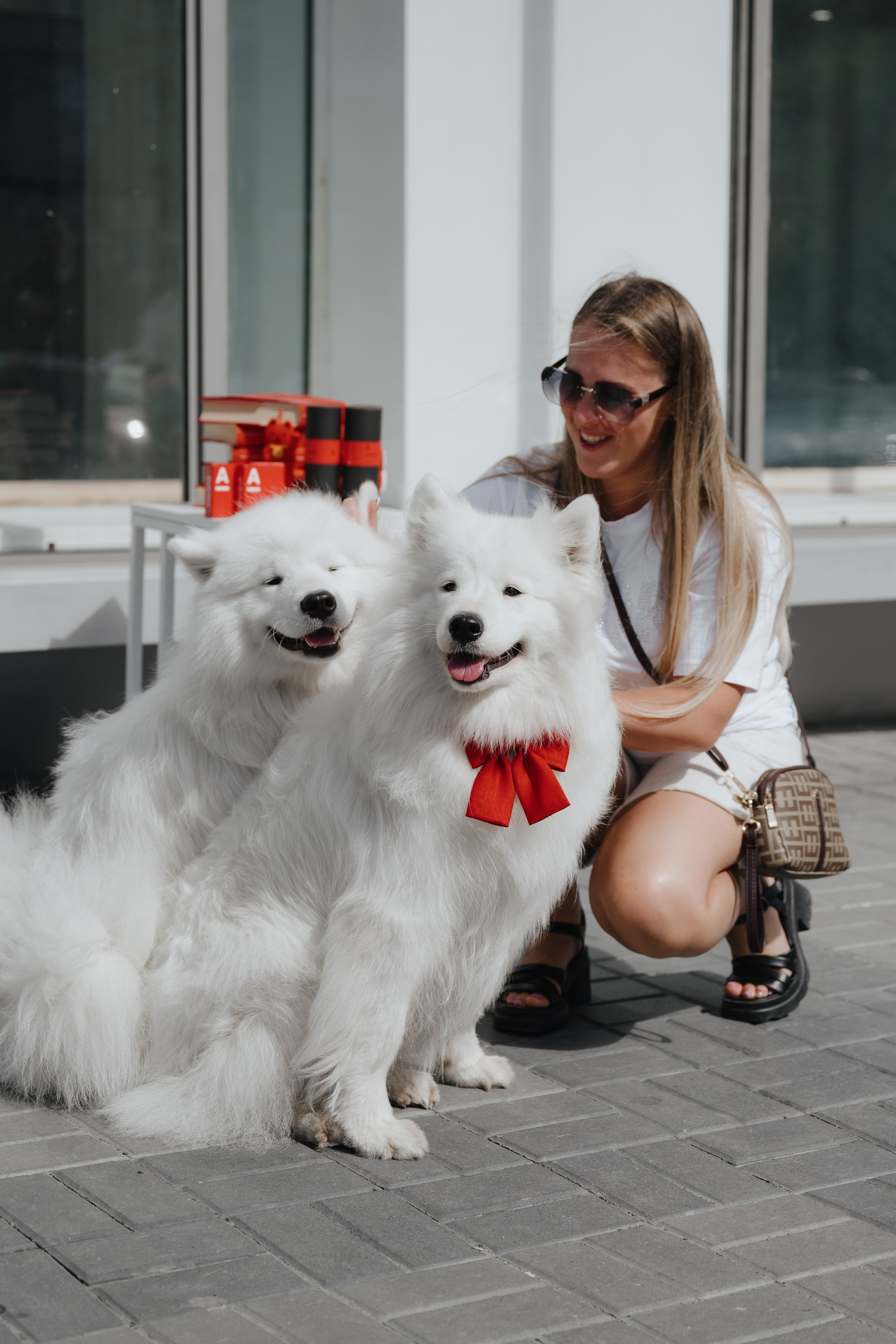 Альфа банк Карла Маркса 55. Фотограф Кристина Тумаева. Самоед Новосибирск