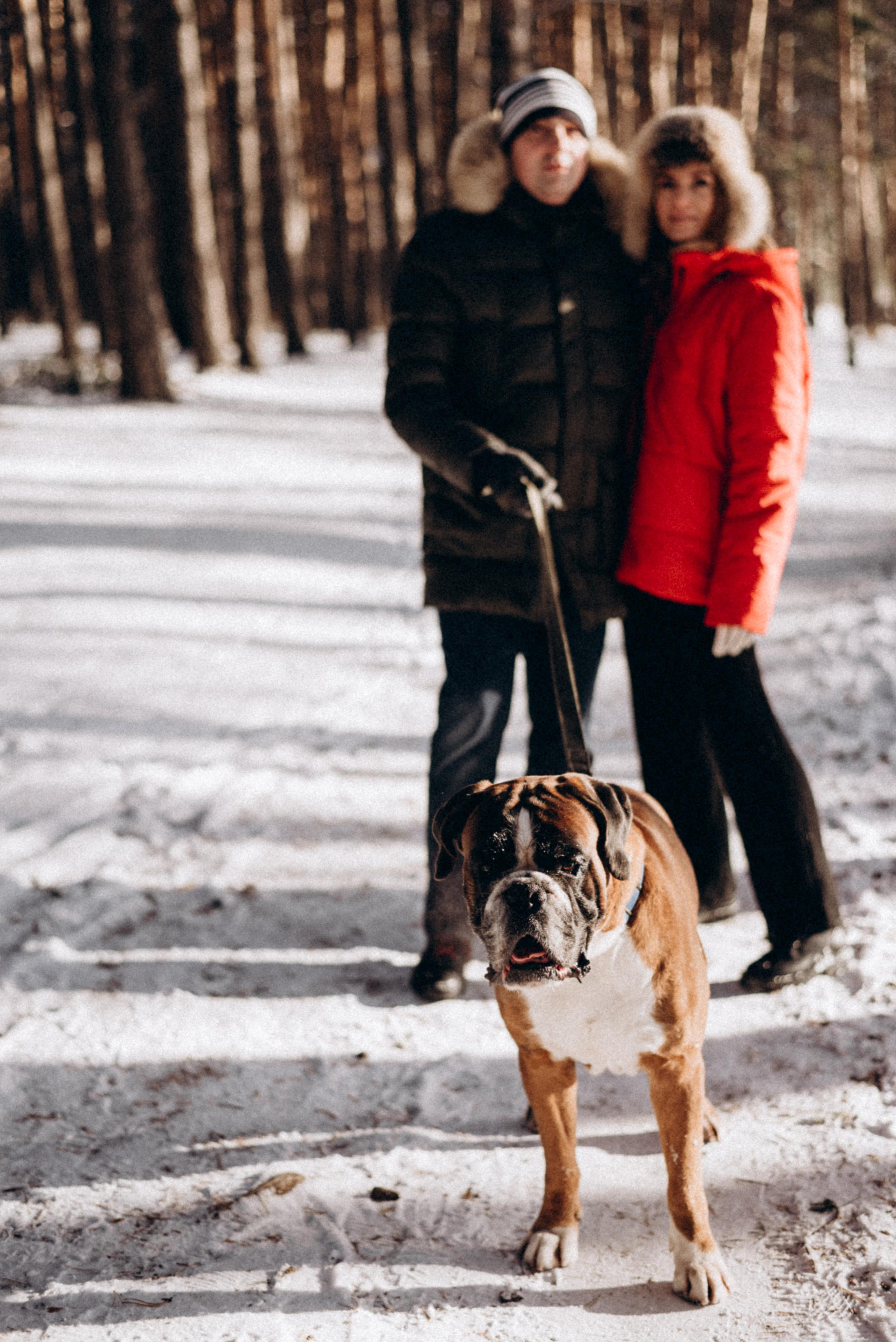 Прогулка в лесу. Фотограф Дарья Мустафина, Тюмень