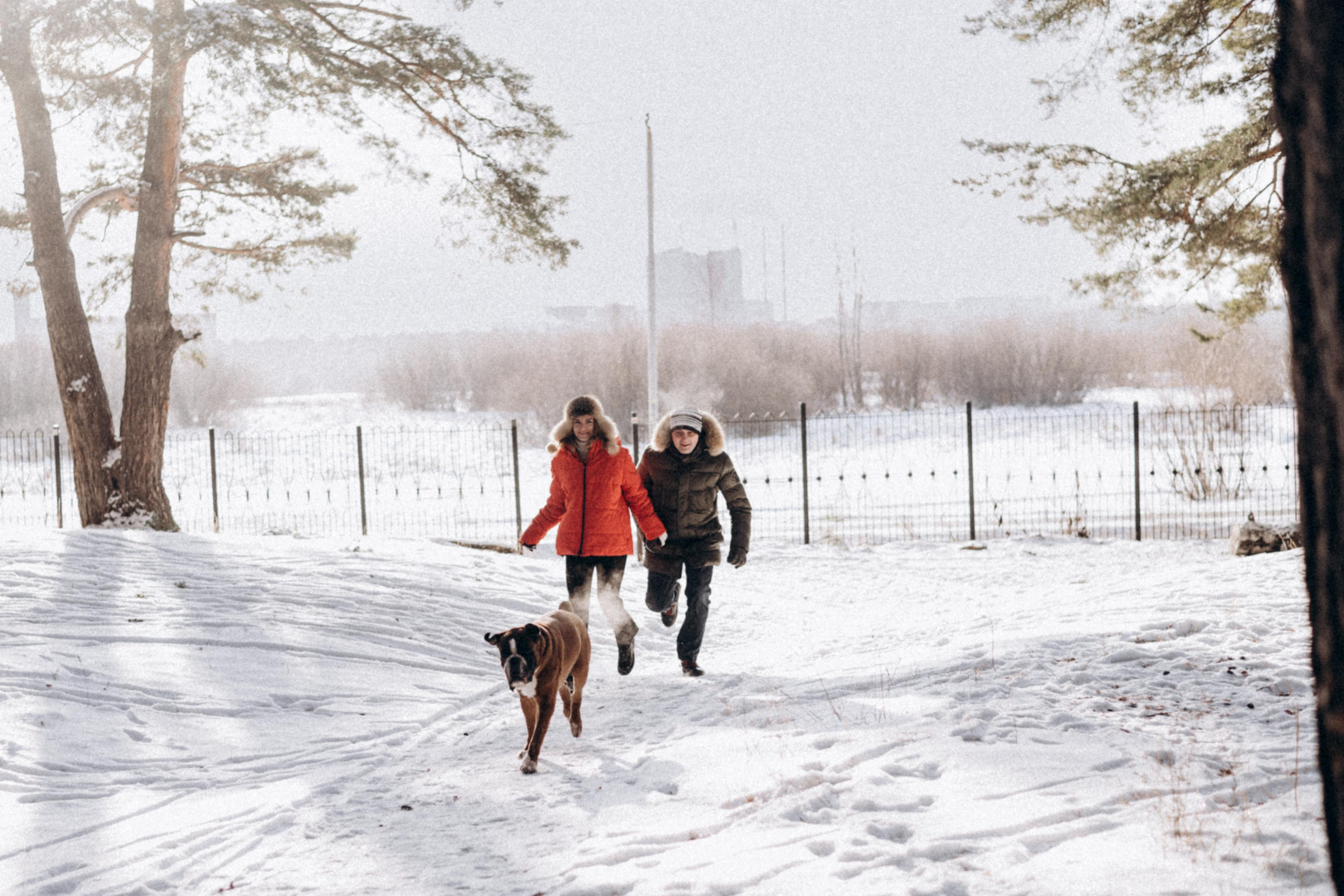 Прогулка в лесу. Фотограф Дарья Мустафина, Тюмень