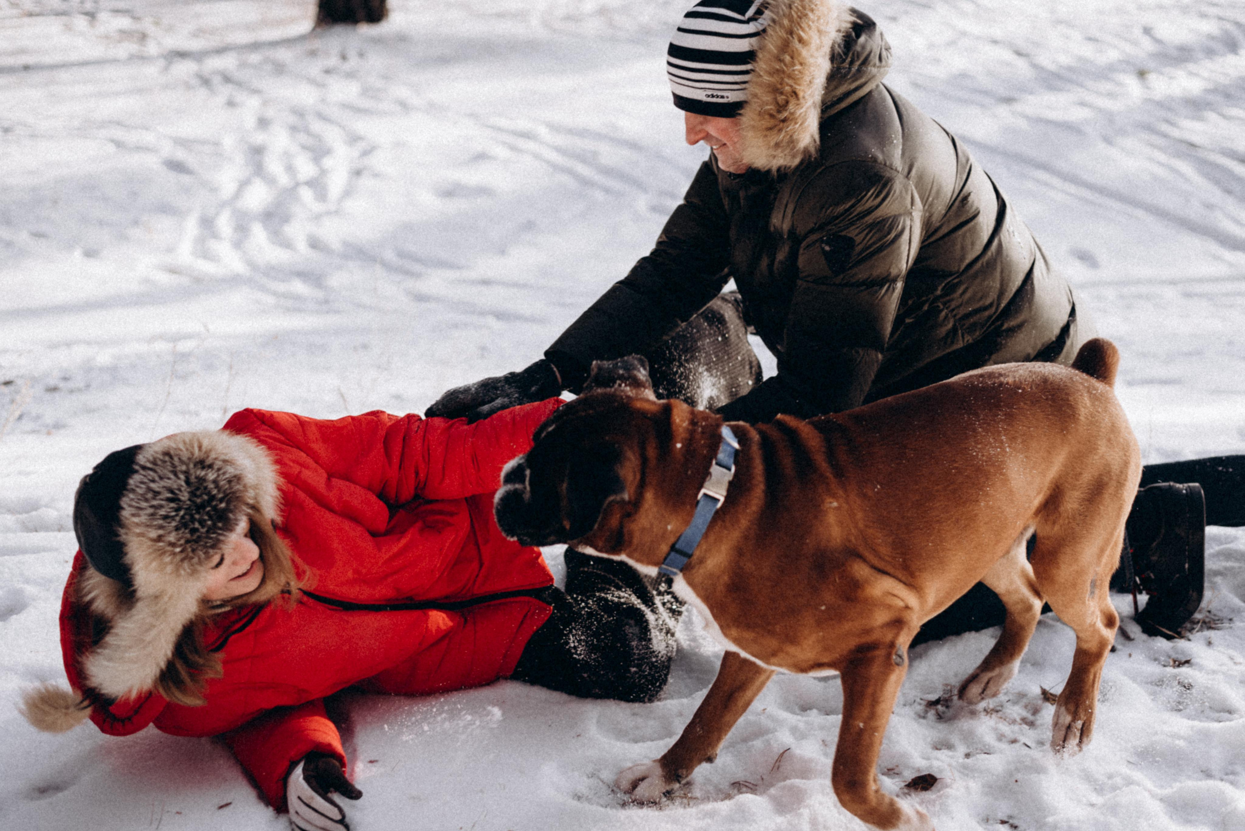Прогулка в лесу. Фотограф Дарья Мустафина, Тюмень