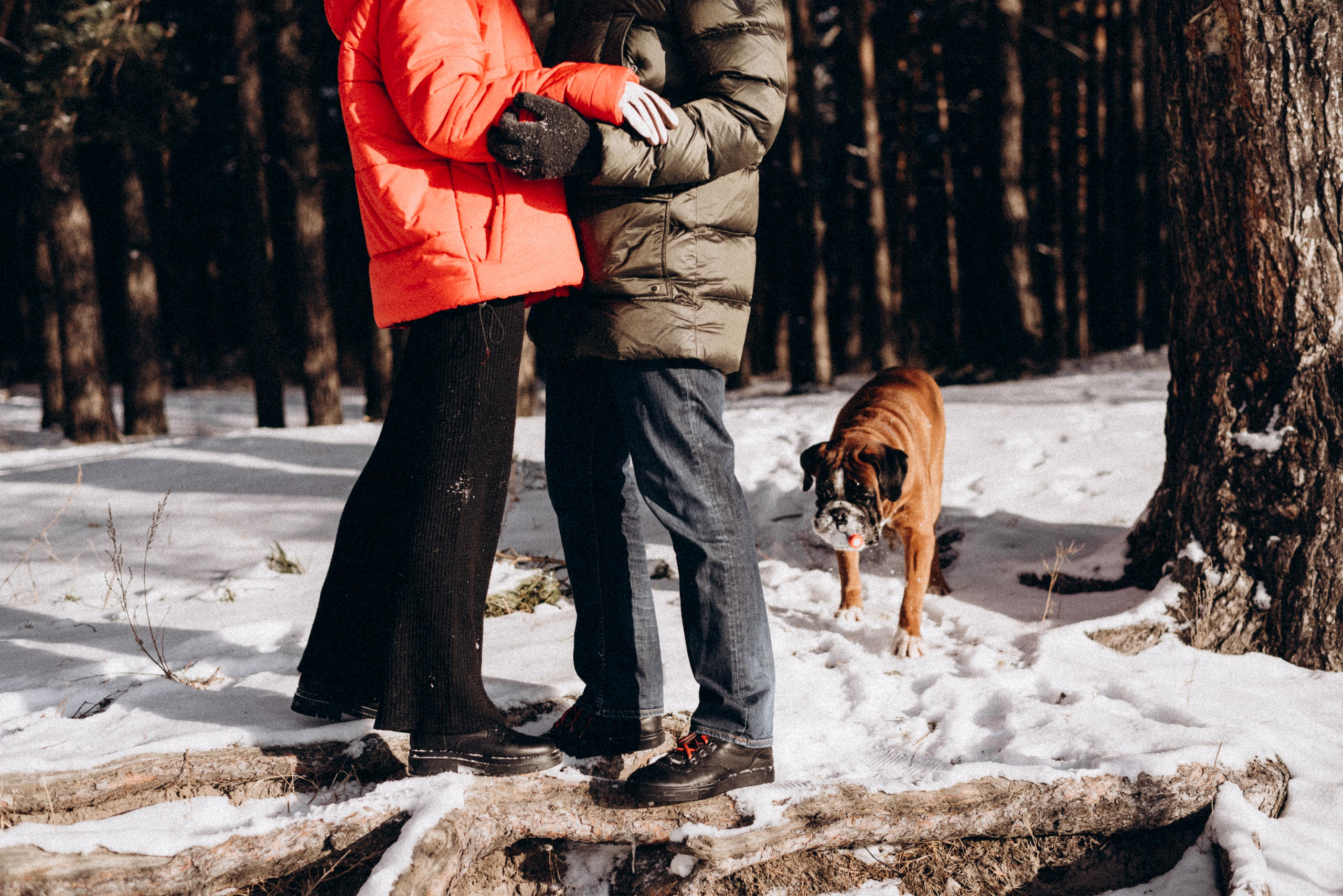 Прогулка в лесу. Фотограф Дарья Мустафина, Тюмень