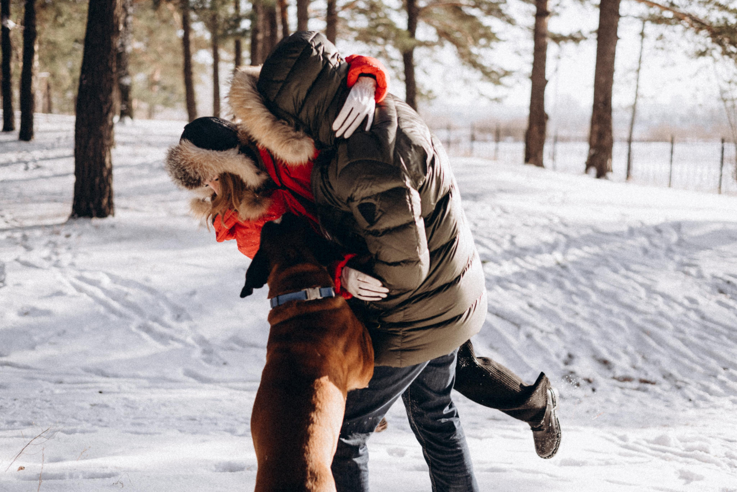 Прогулка в лесу. Фотограф Дарья Мустафина, Тюмень