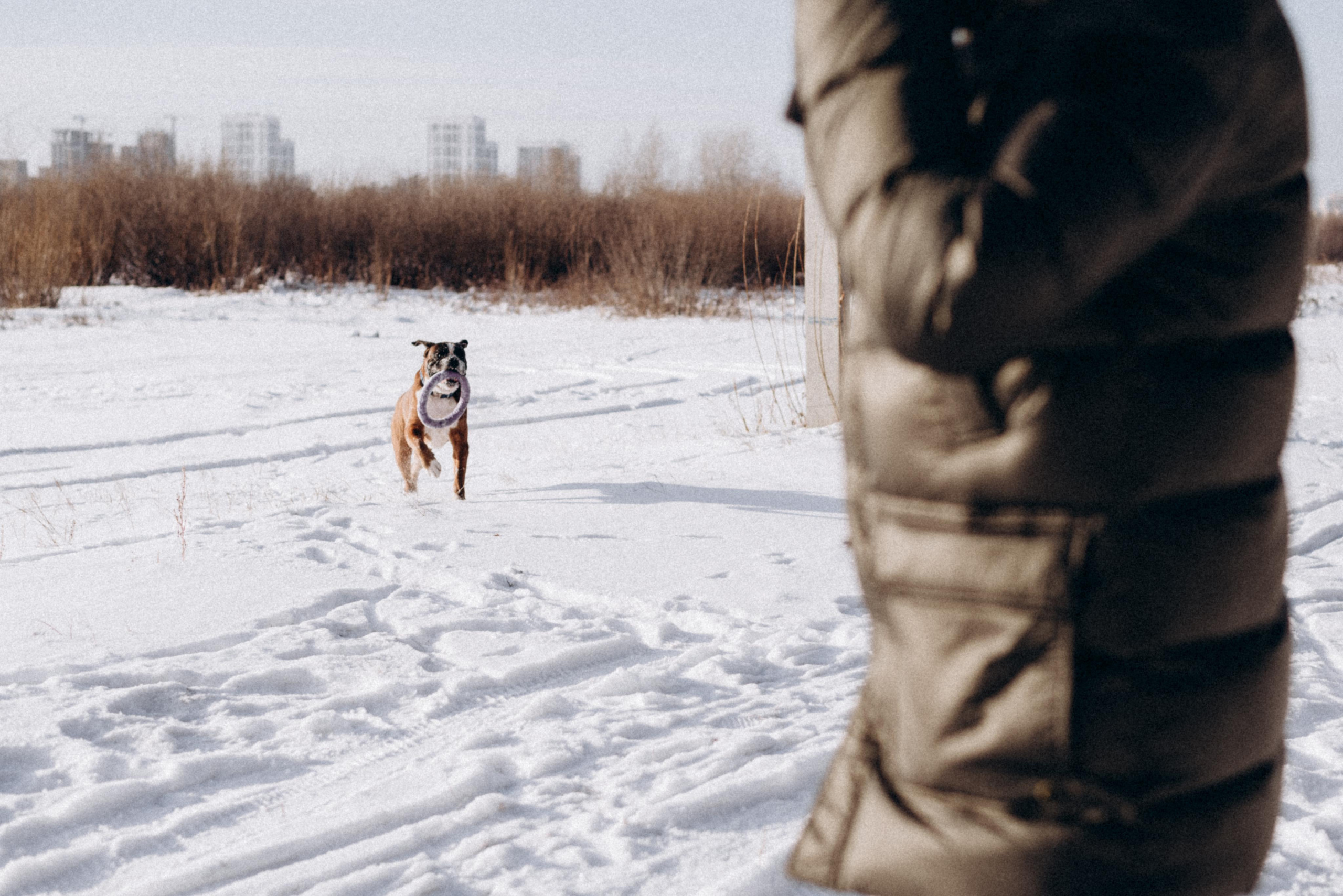 Прогулка в лесу. Фотограф Дарья Мустафина, Тюмень