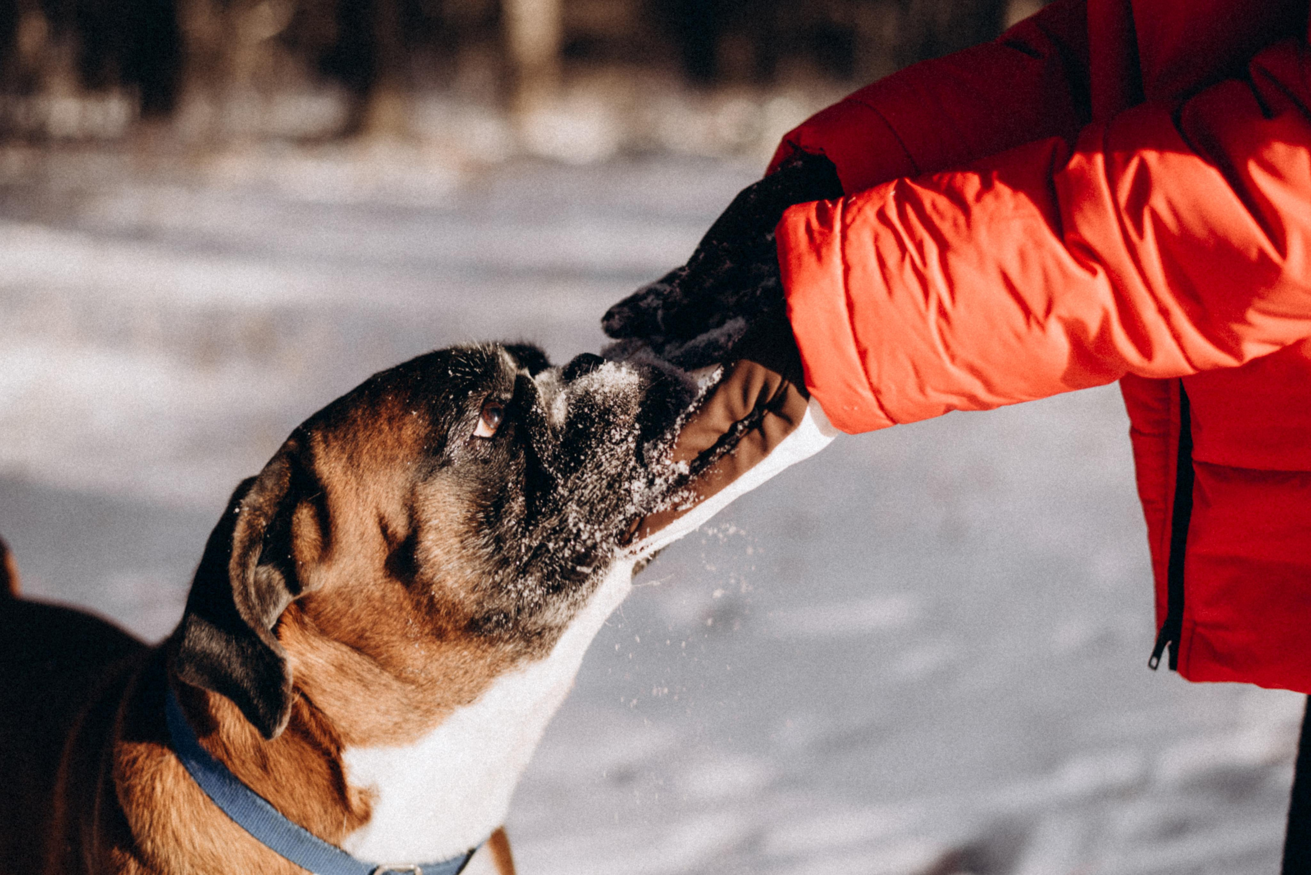 Прогулка в лесу. Фотограф Дарья Мустафина, Тюмень