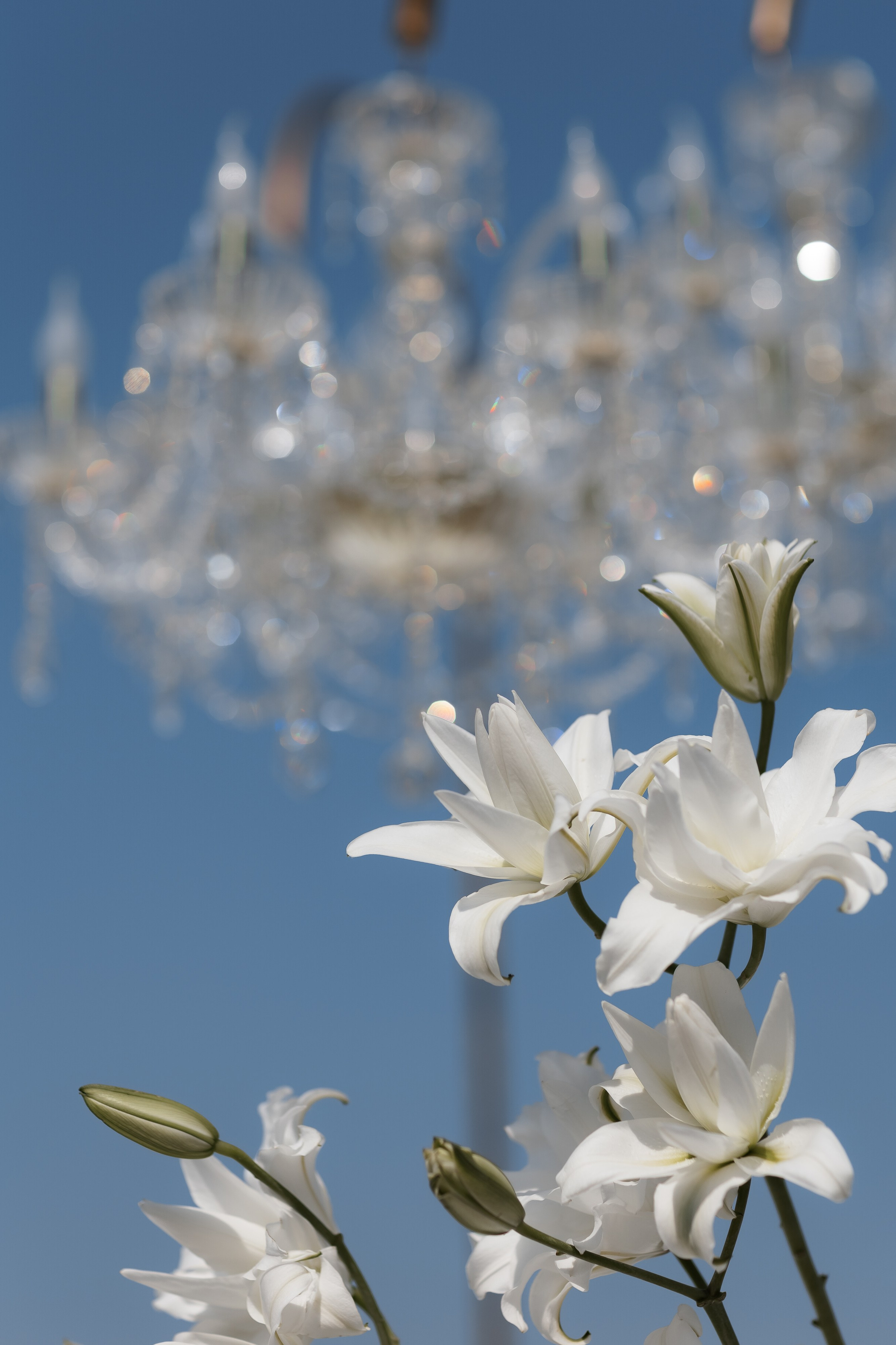 Владислав & Юлия. Свадебный фотограф Виктория Карпова