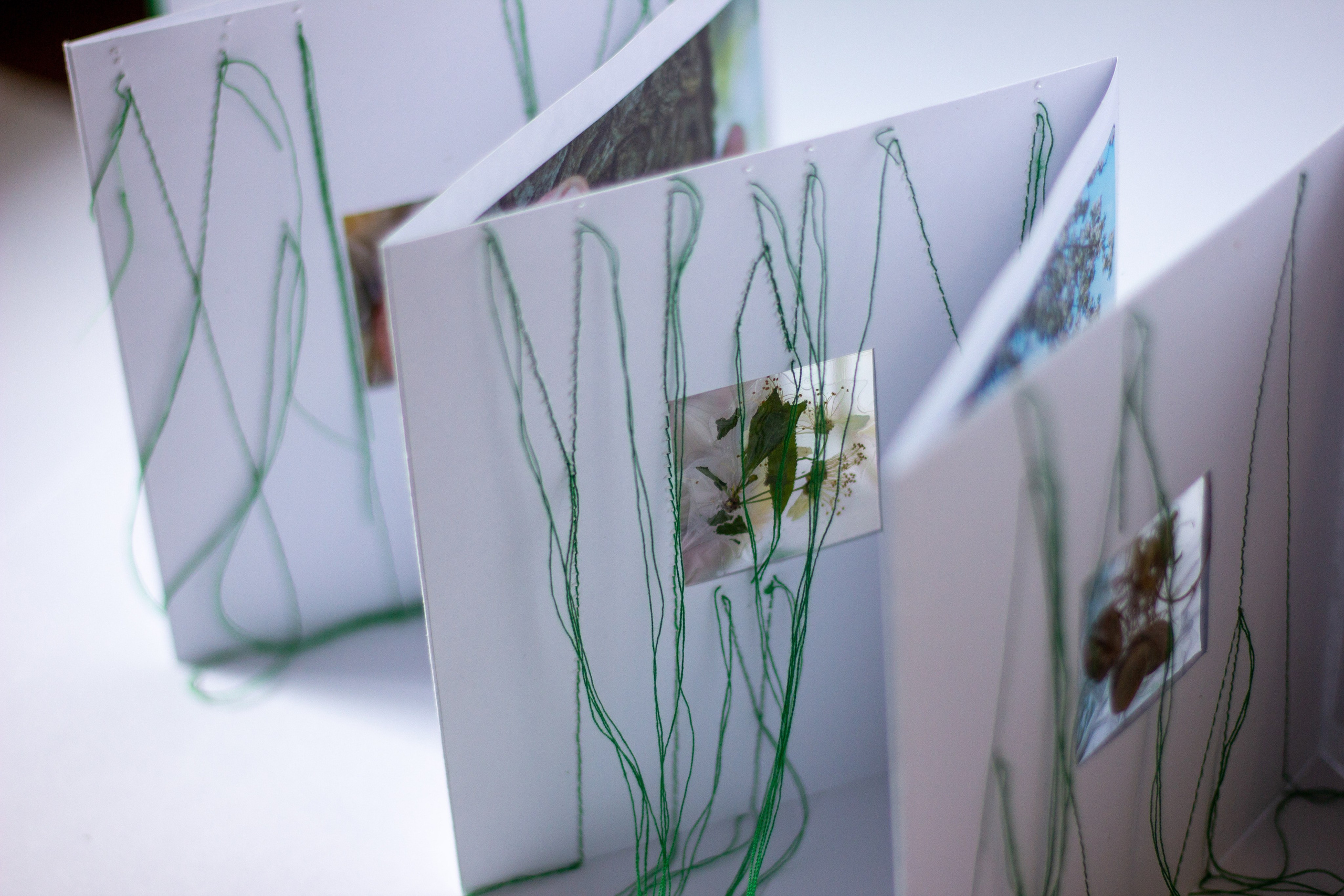 Плодовые (2024 — в процессе). Julia Gorbunova