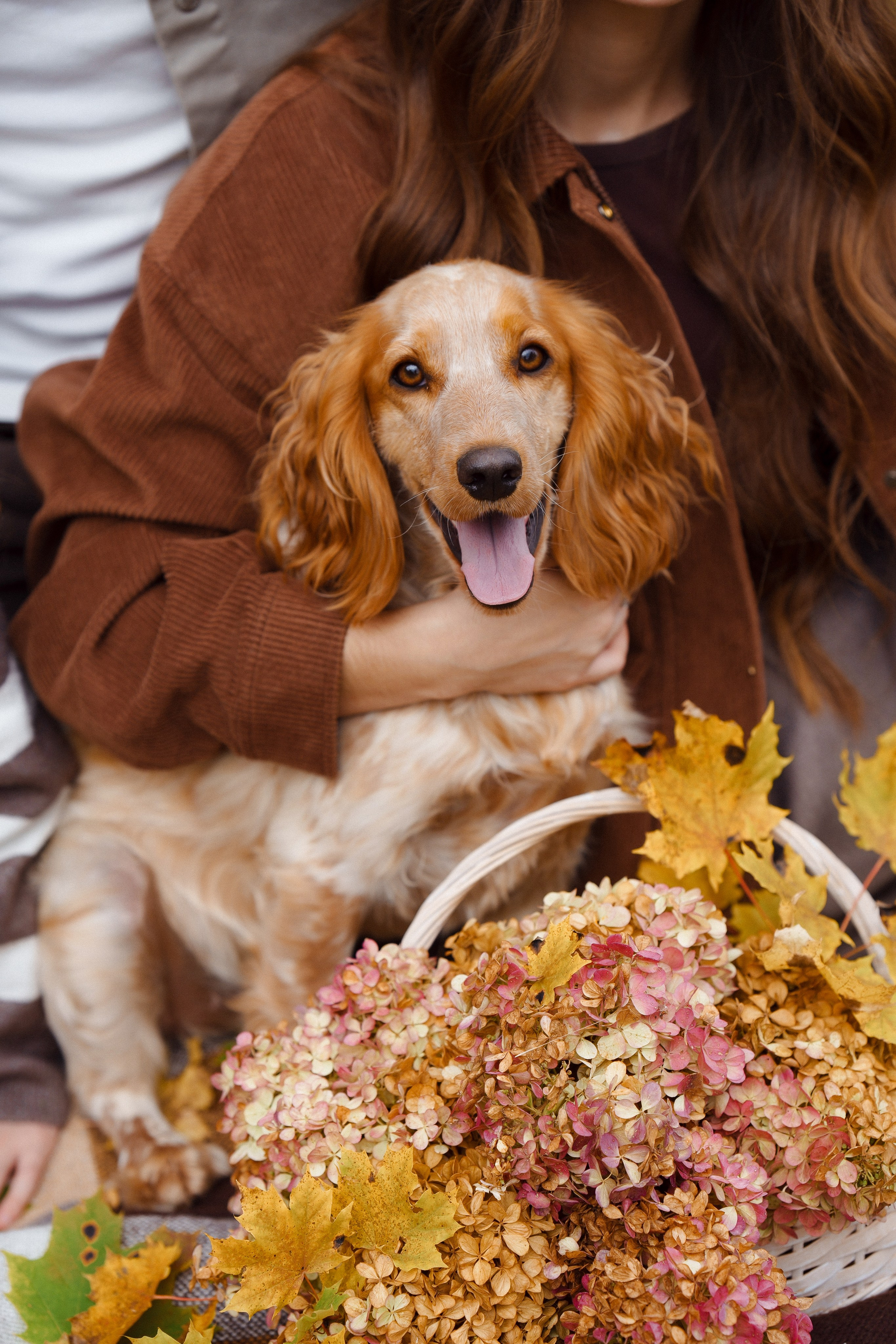 Счастливы вместе. Семейный и свадебный фотограф в Бугуруслане Екатерина Ронжина