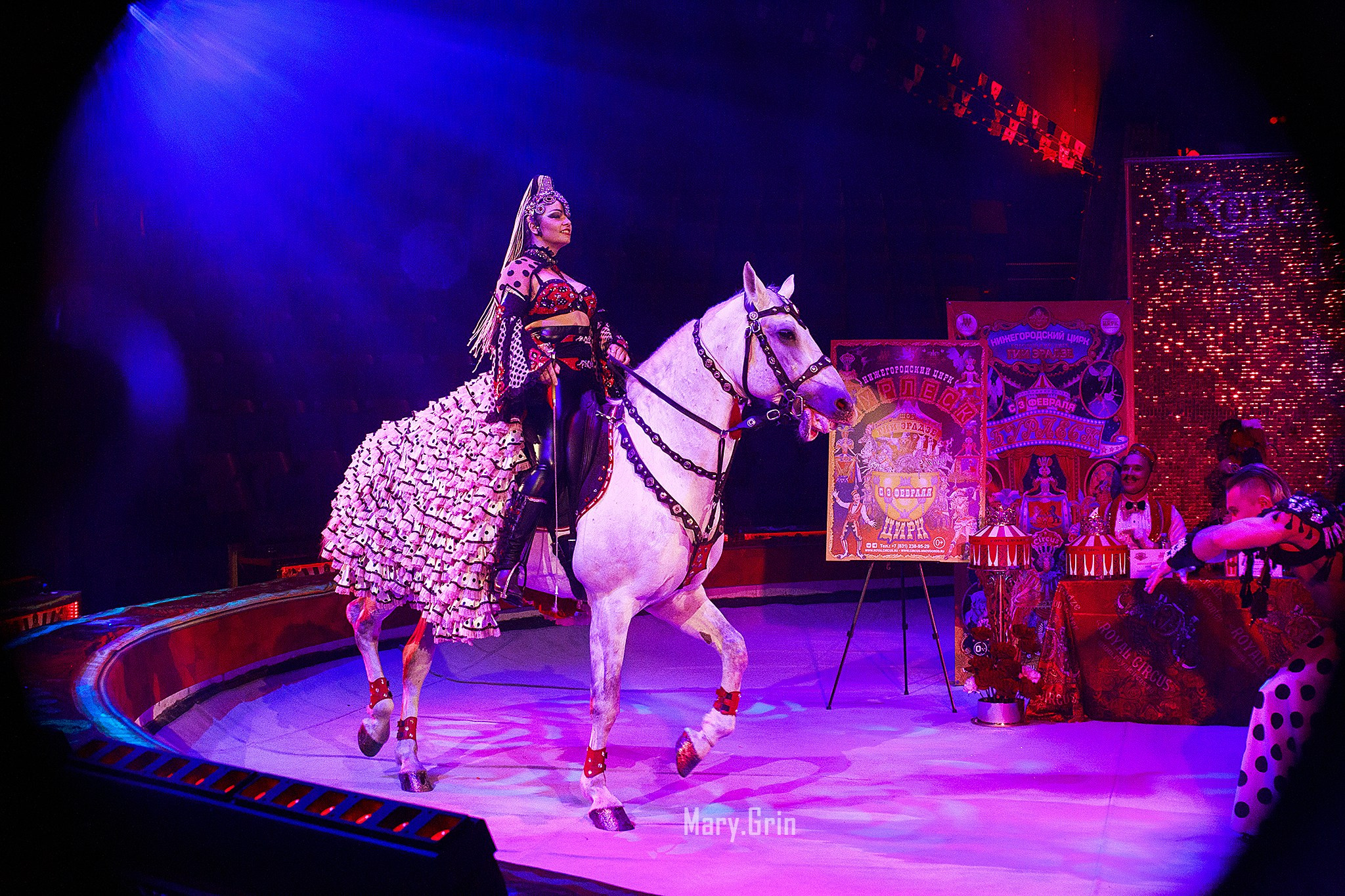 Цирк Гии Эрадзе. Детский и семейный фотограф, фотограф мероприятий Нижний Новгород