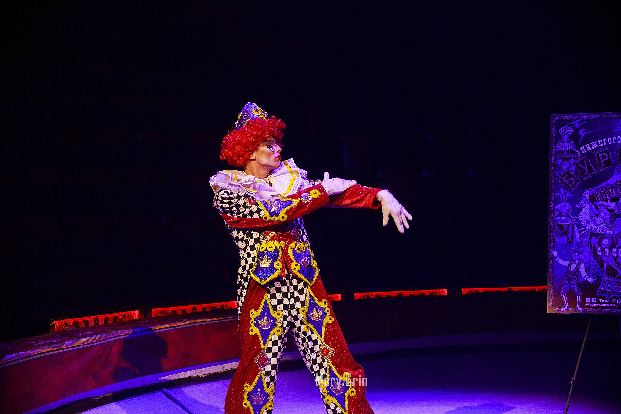 Цирк Гии Эрадзе. Детский и семейный фотограф, фотограф мероприятий Нижний Новгород