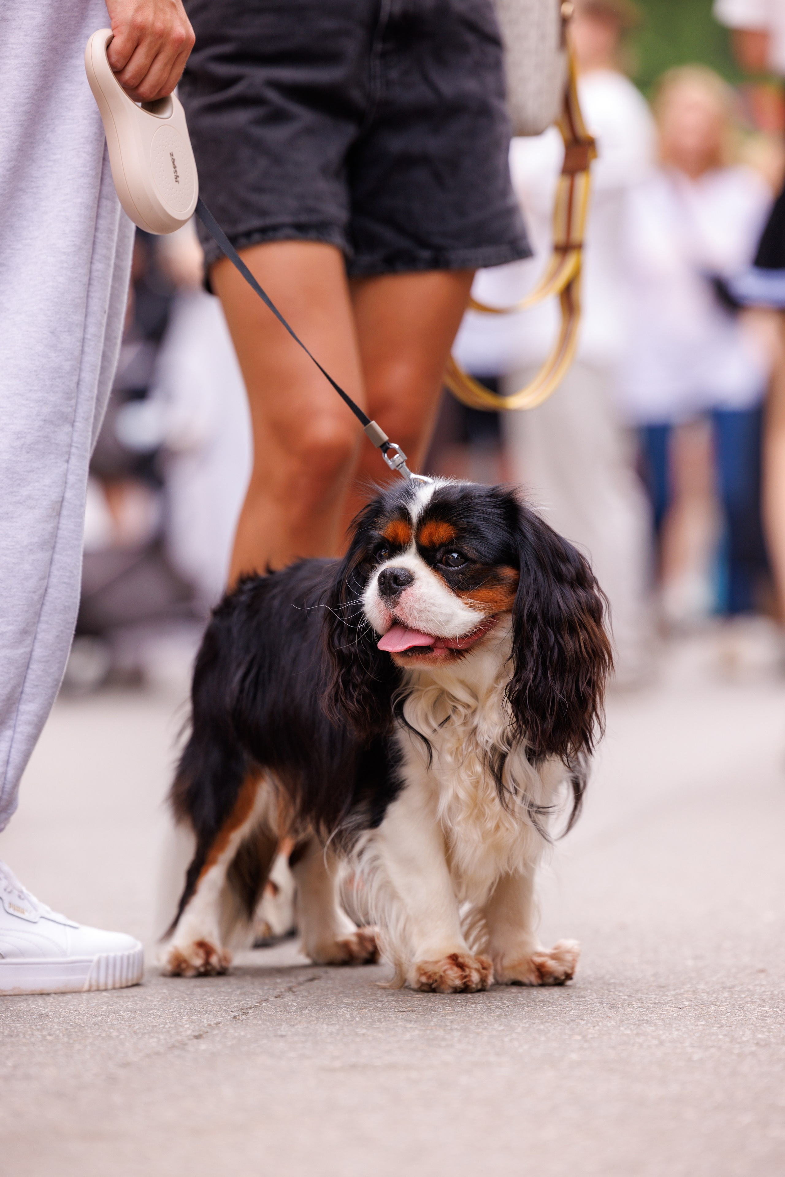 PetShopDays2026. Фотограф Александр Заломаев