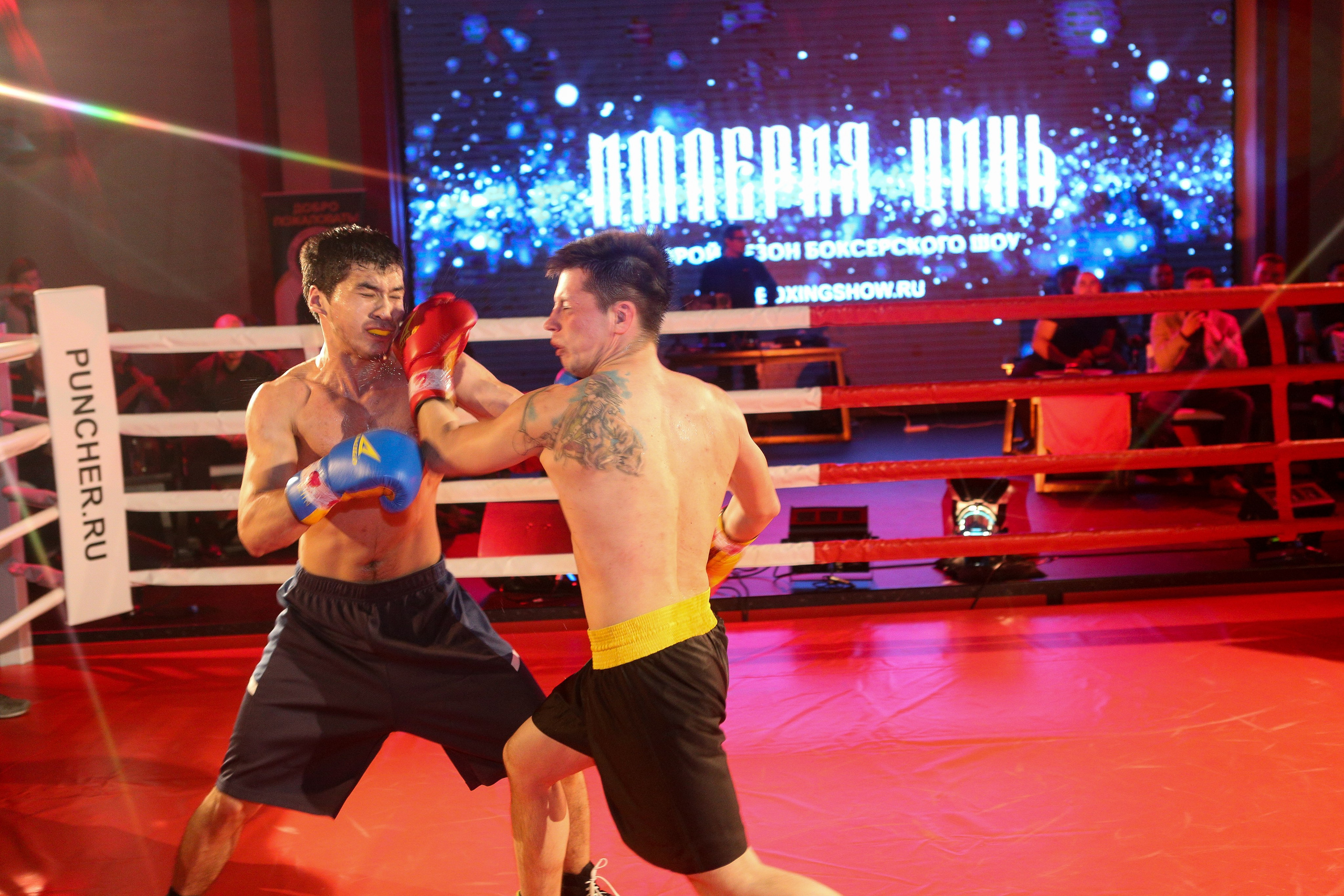 БОКС Империя Цынь, турнир первый. Фотограф Александр Заломаев