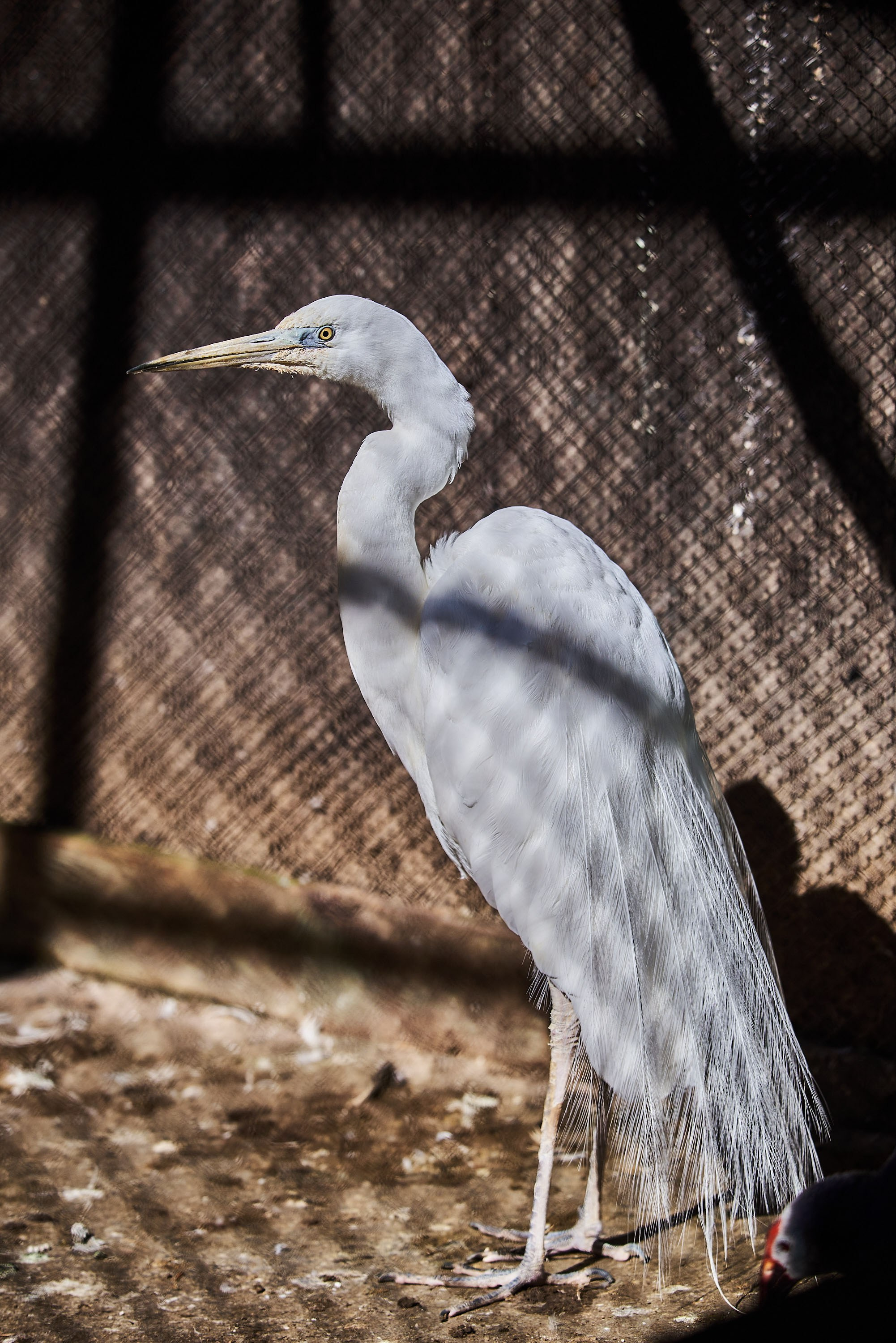 Зоопарк Иваново. Фотограф в Иваново: Каталожная съемка одежды и постельного белья, Wildberries