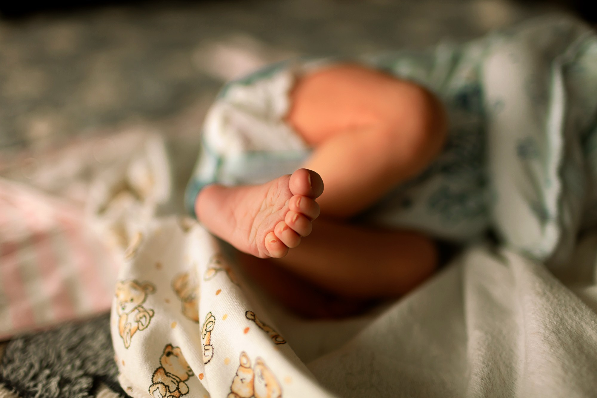 Семейная история. Главная