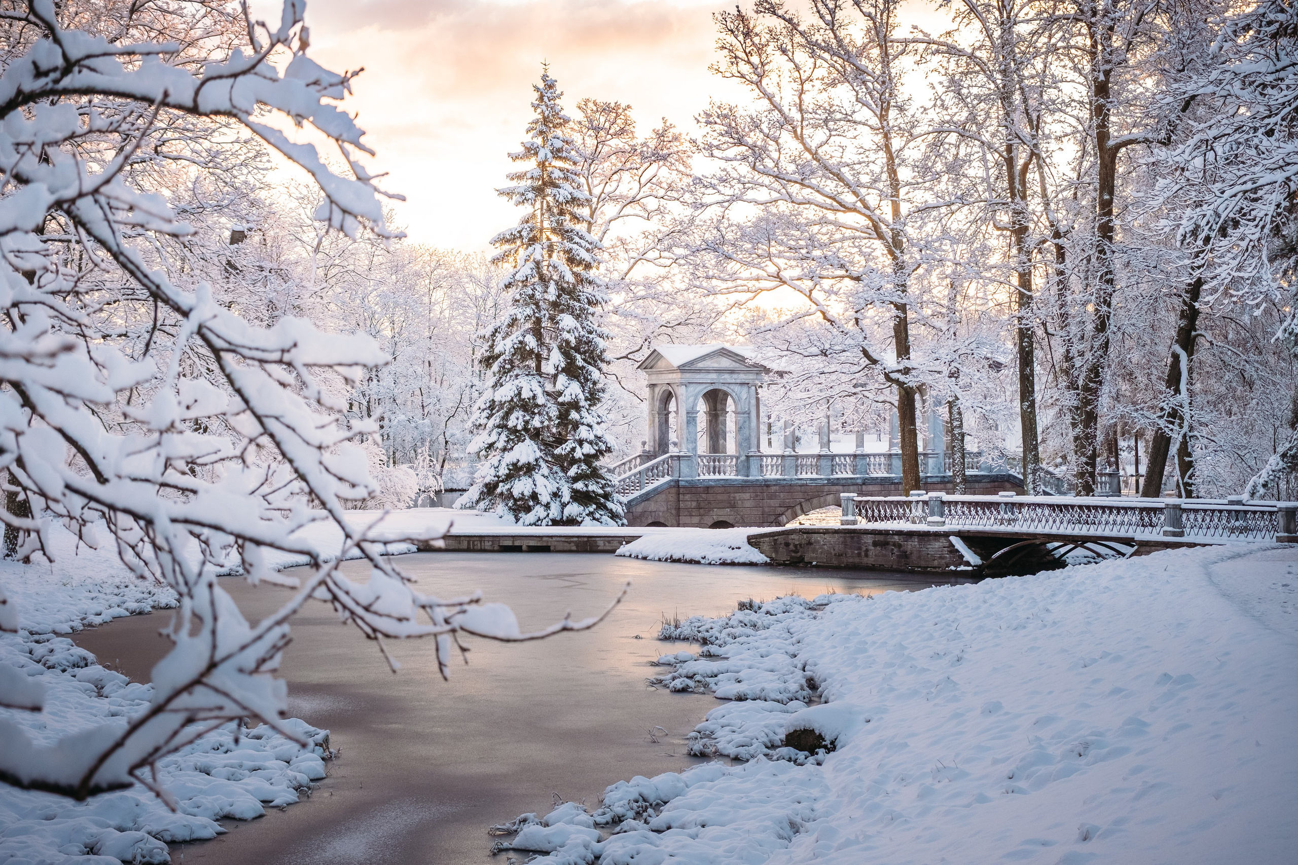 Отзывы. Фотограф и оператор Илья Гунбин