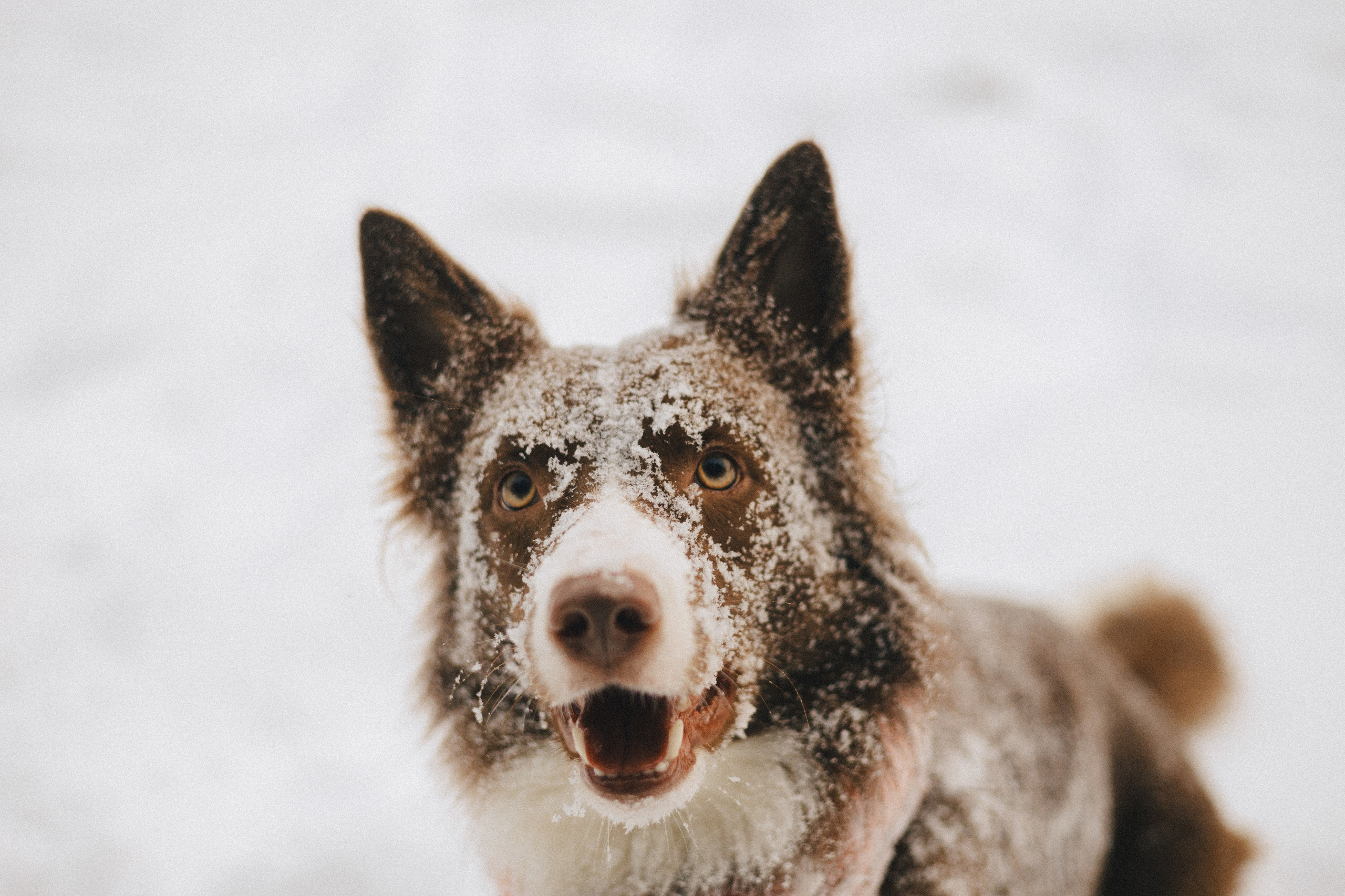 Настя и Ваня. Фотограф Анна Луценко Москва