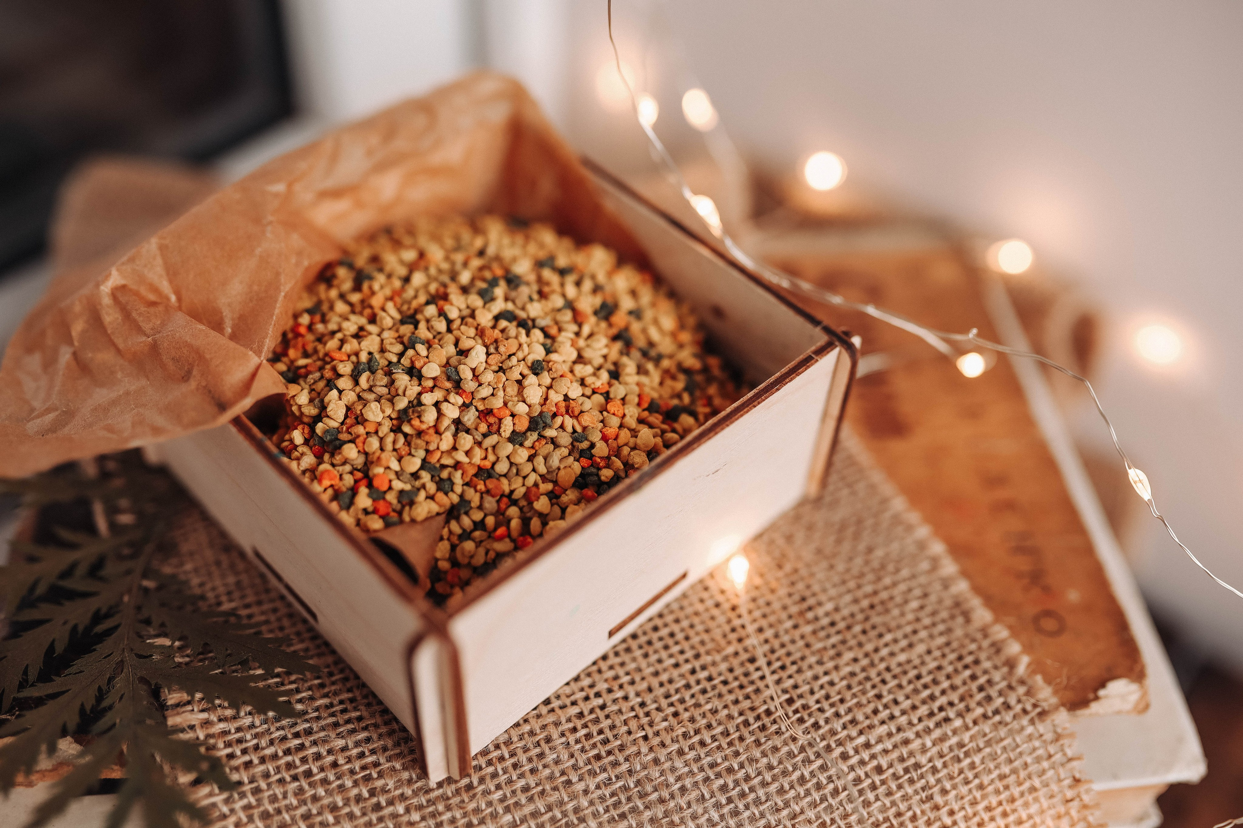 Мед. Фотограф  Ксения Евдокова. Дзержинск, Нижний, Москва, Питер