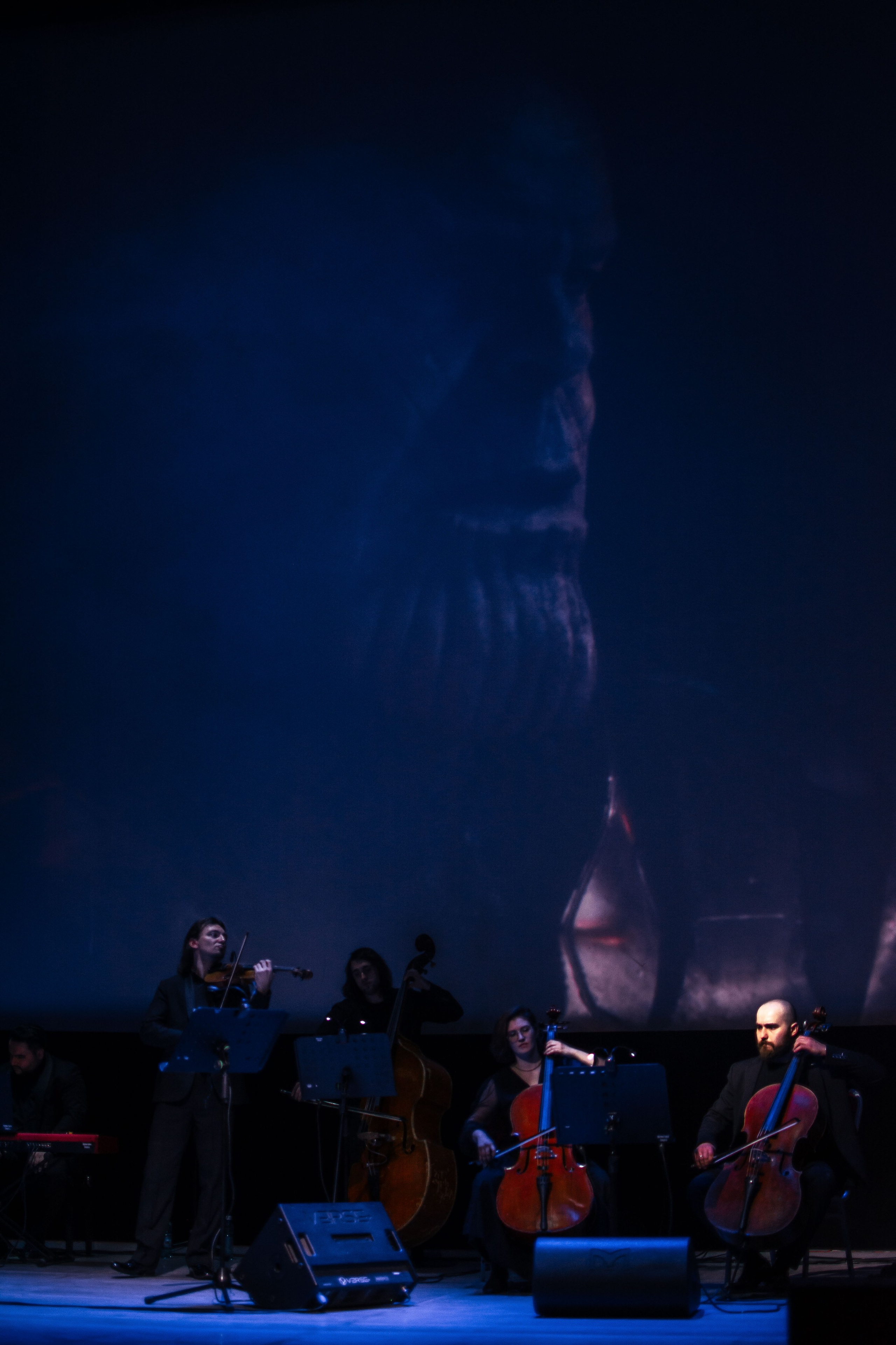 Концерт оркестра Cinematica. Репортажный фотограф в Новосибирске