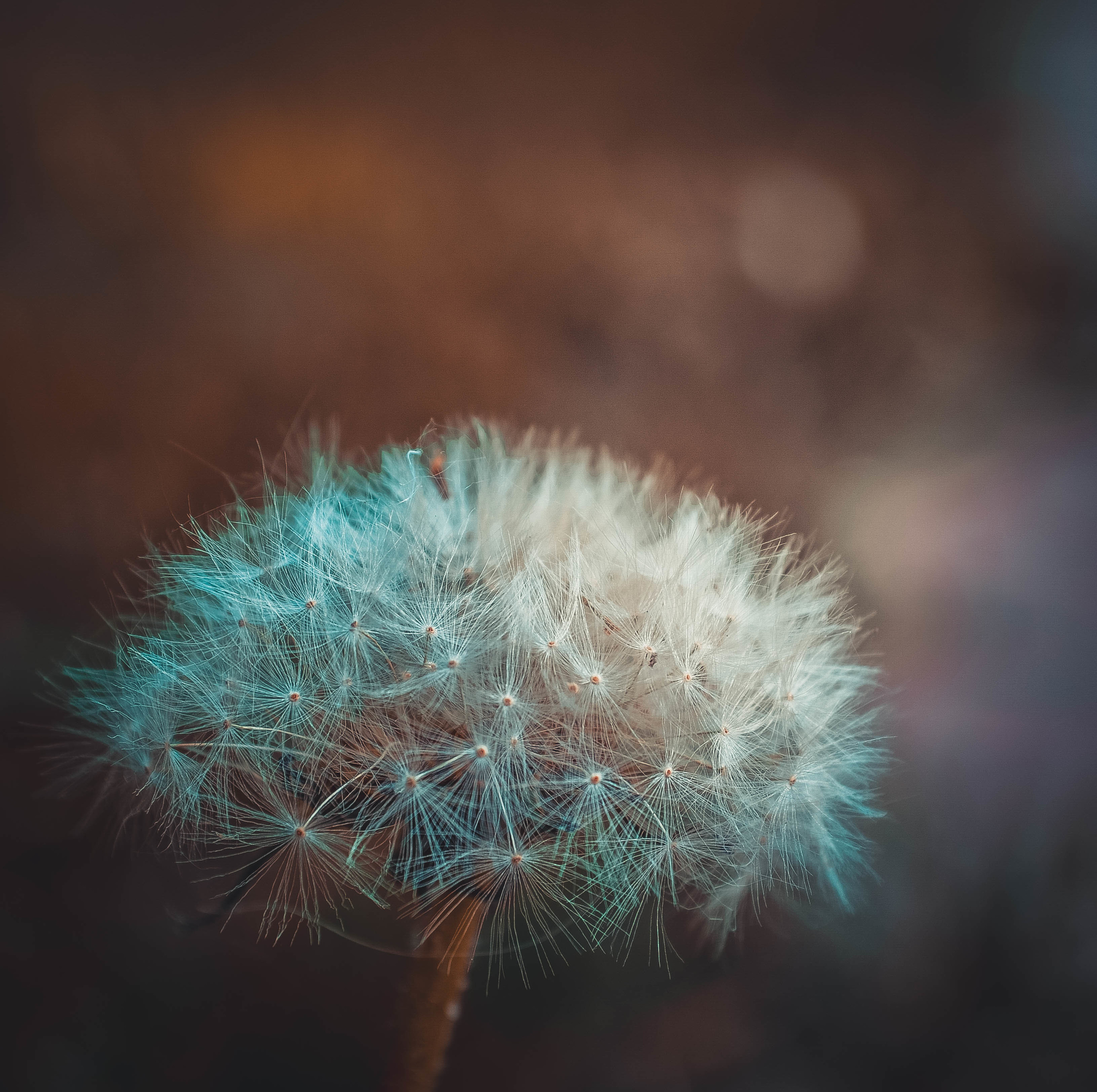 Природа. Александр Снапков | SnappPhoto | Буй