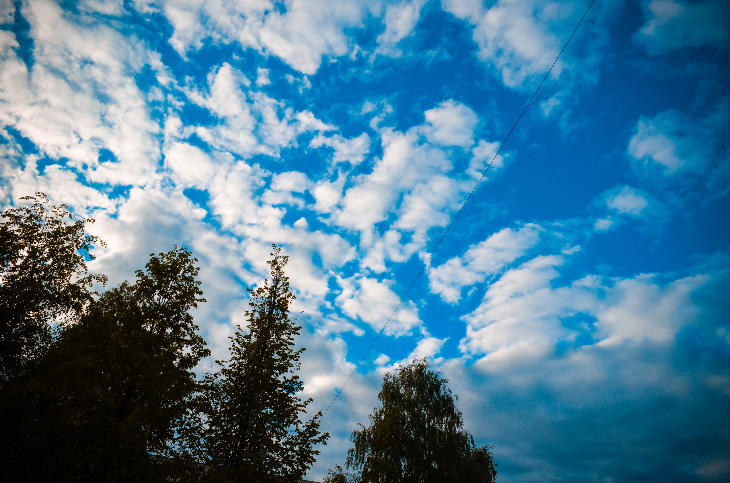 Природа. Александр Снапков | SnappPhoto | Буй