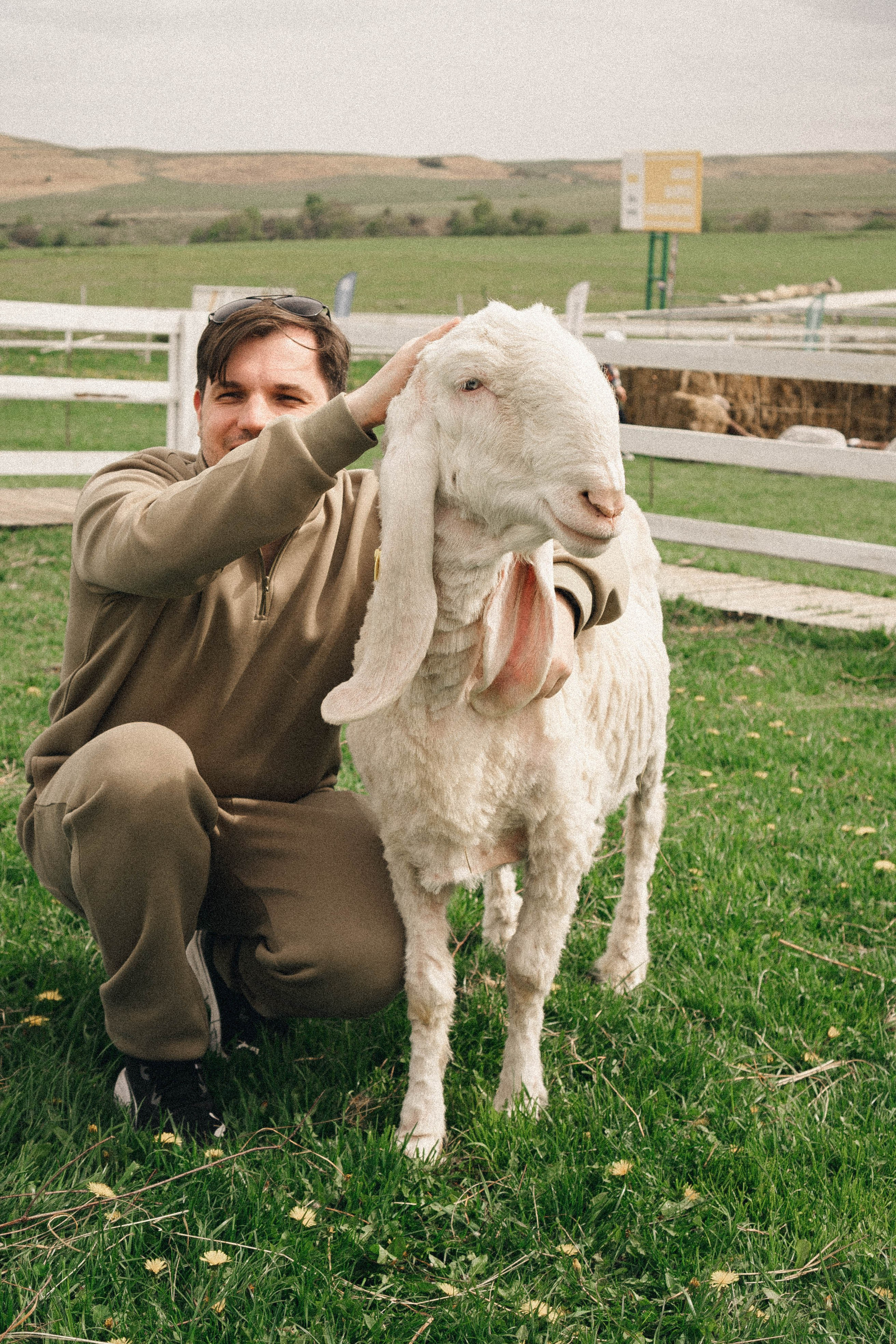 Ферма Альпак. Профессиональный фотограф, Санкт-Петербург — Виктория Богомолова