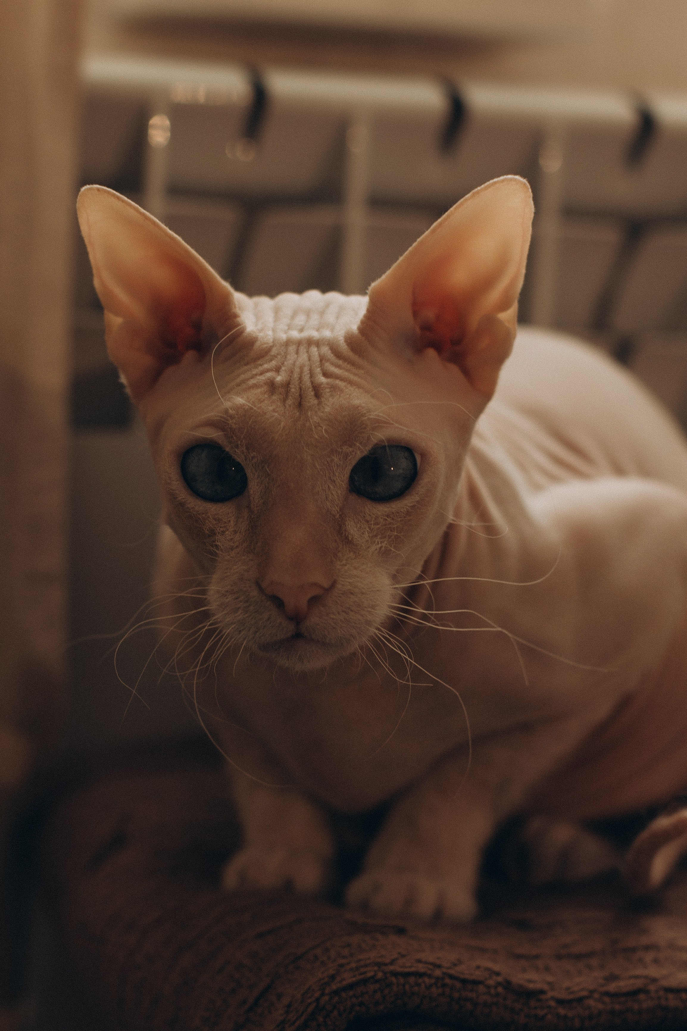 Анна и Нина. Свадебный фотограф Волгоград | Тарасова Светлана